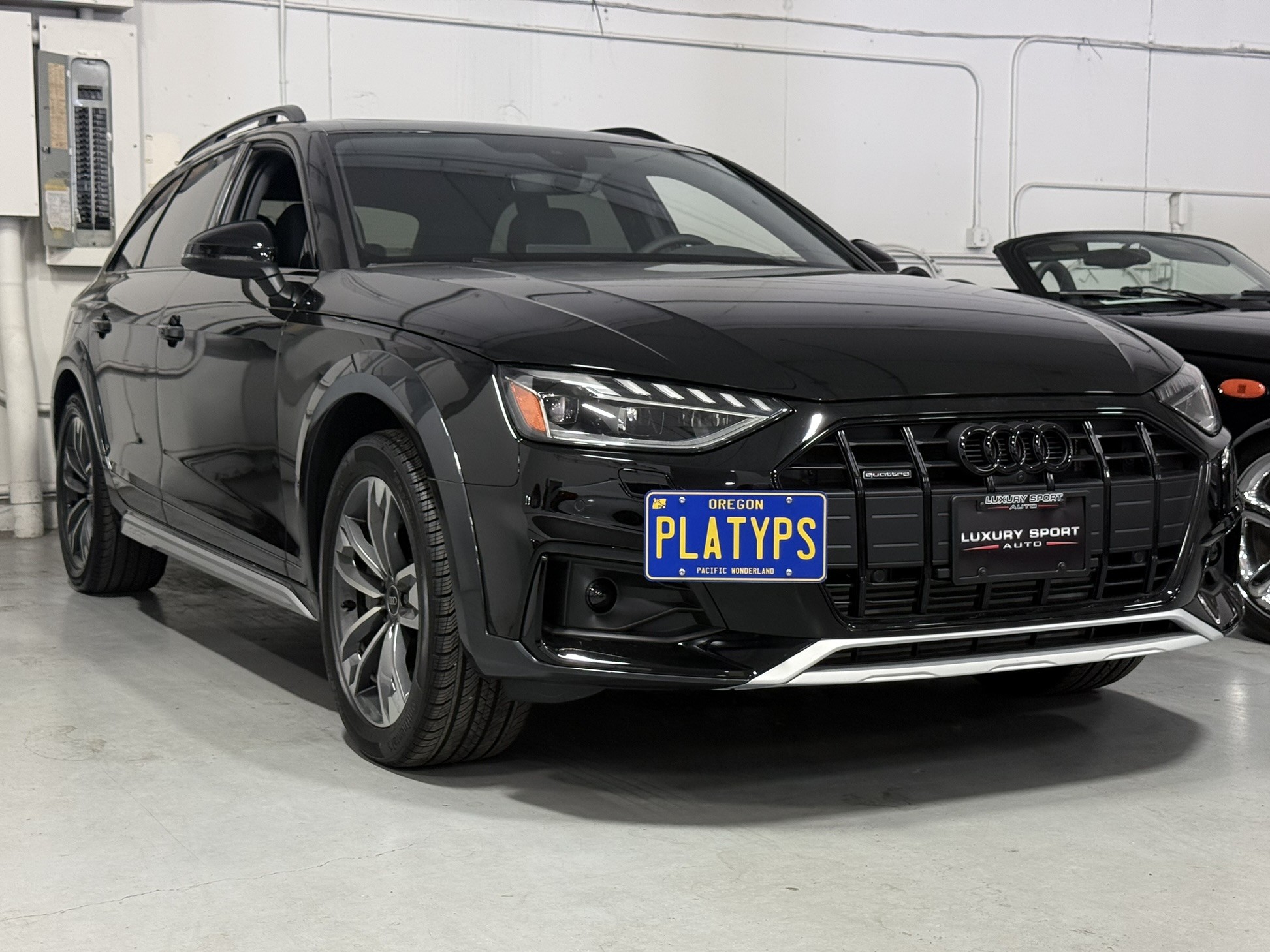 https://cdn11.bigcommerce.com/s-351ed/images/stencil/{:size}/products/30382/288908/the_platypus_license_plate_mount_for_audi_a4_allroad_b8_-_8k_2017_to_2025_2020-2025_facelift_927VDBB_30382__06986.1758904127.jpg?c=2