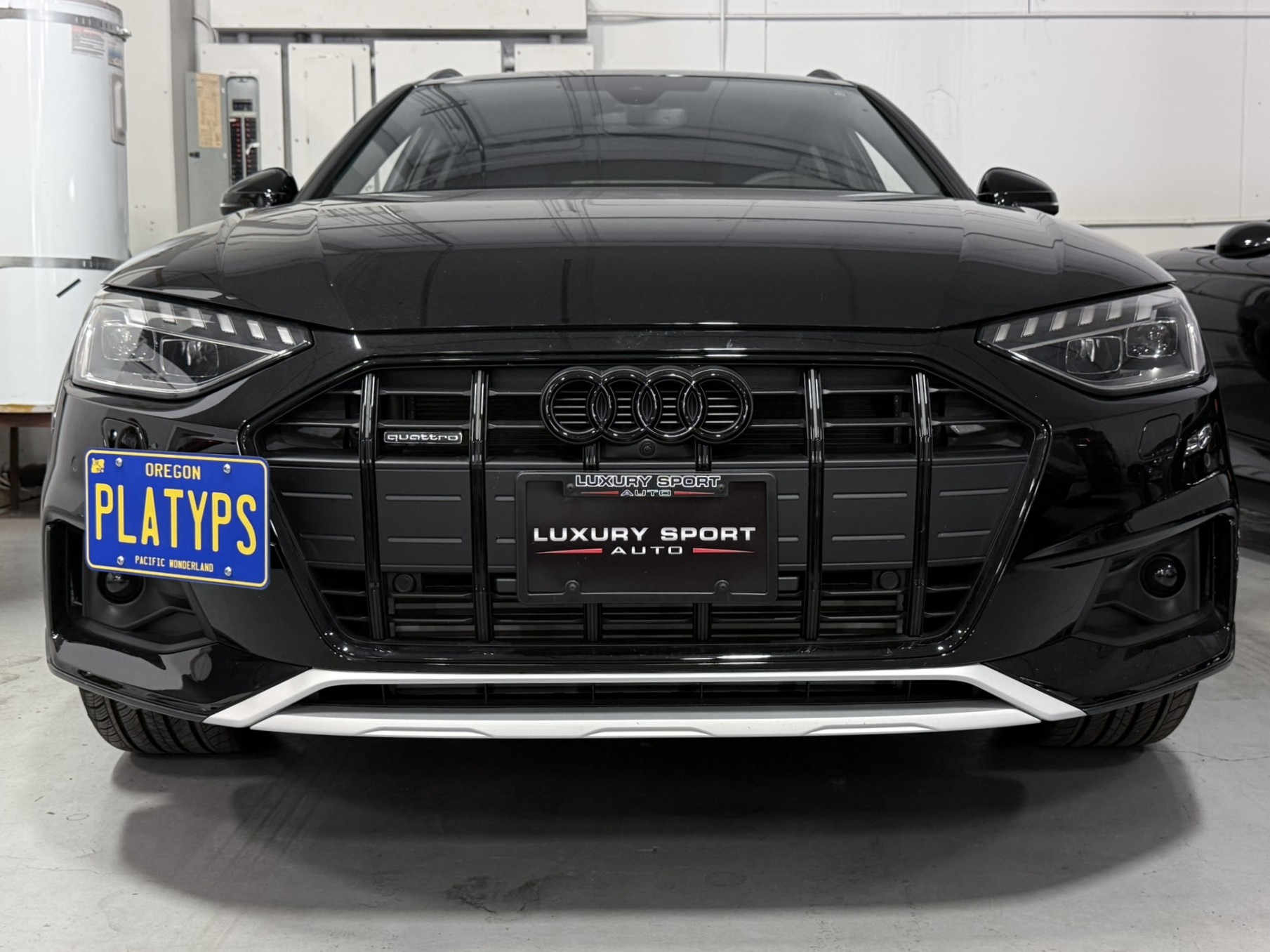 The Platypus License Plate Mount for Audi A4 allroad B8 - 8K 2017 to 2025 2020-2025 (Facelift)