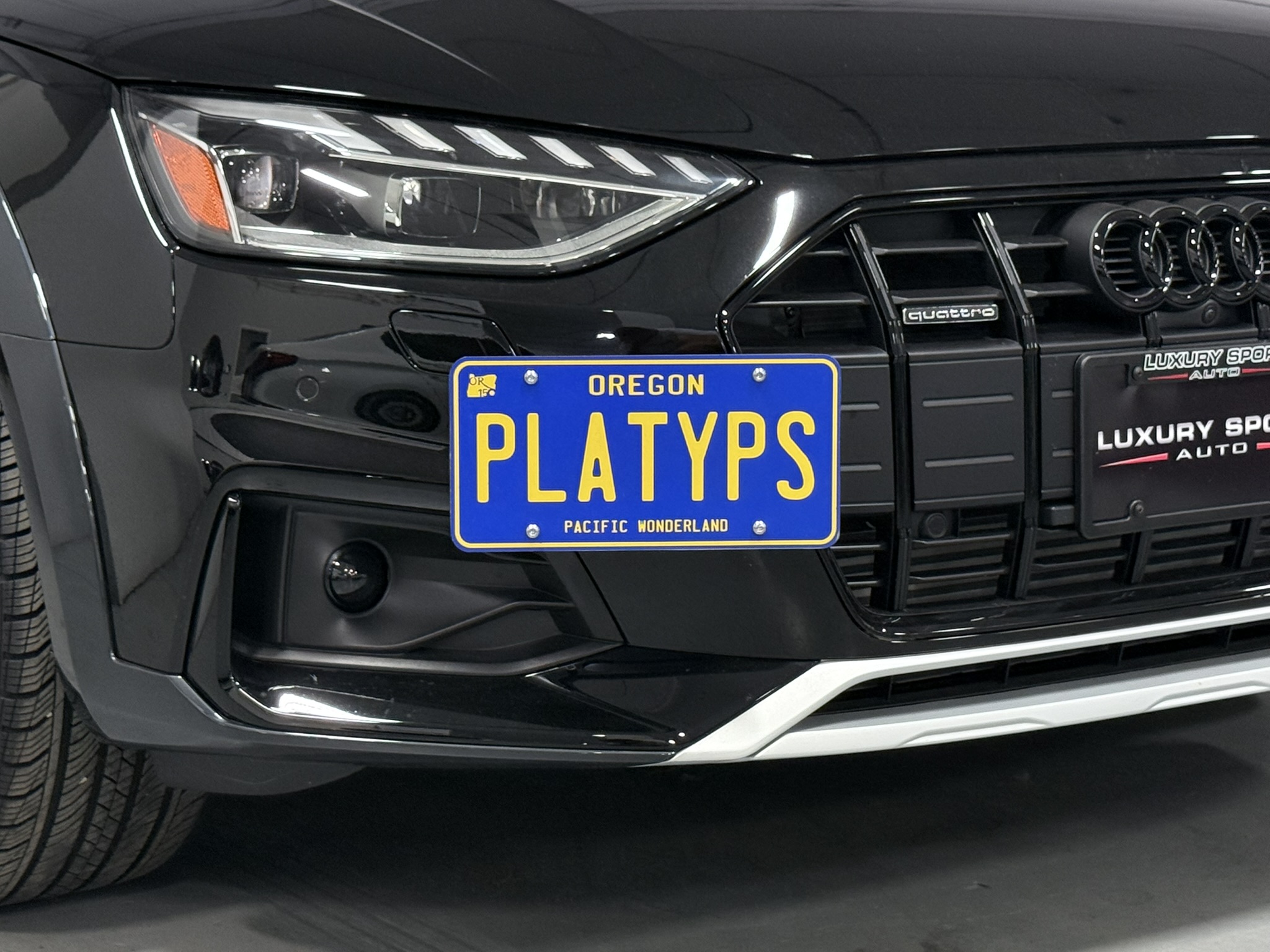 The Platypus License Plate Mount for Audi A4 allroad B8 - 8K 2017 to 2025 2020-2025 (Facelift)