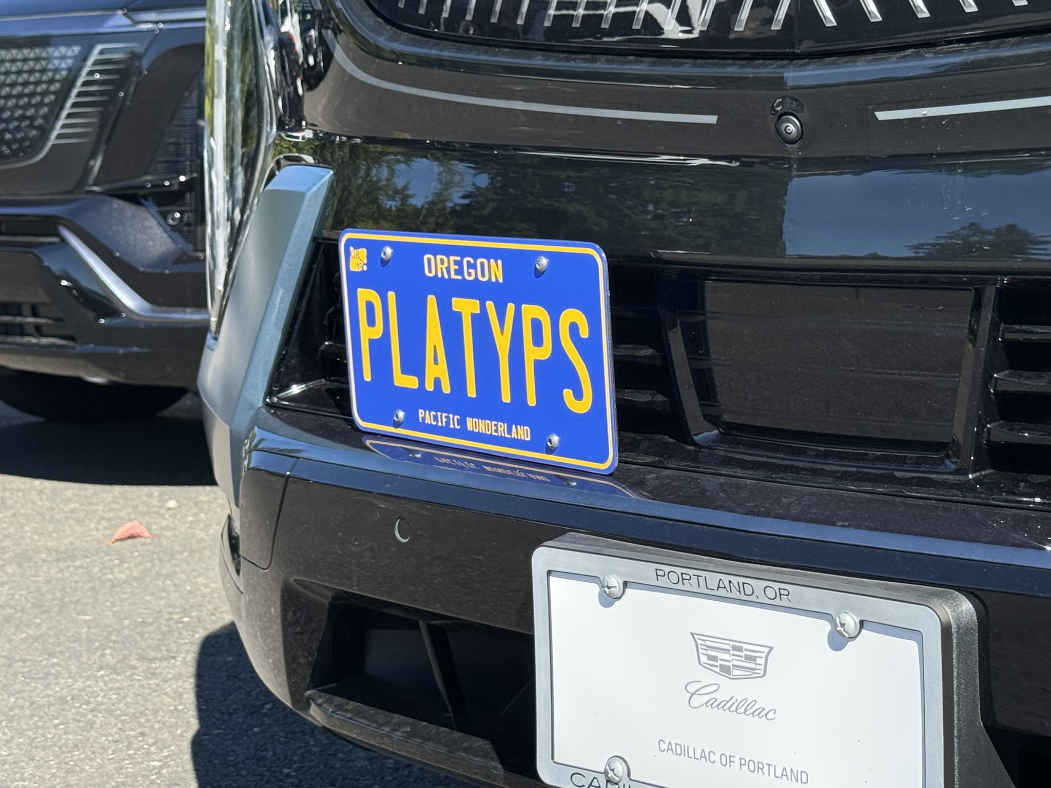 The Platypus License Plate Mount for Cadillac Escalade IQ 5th gen 2025 to 2025