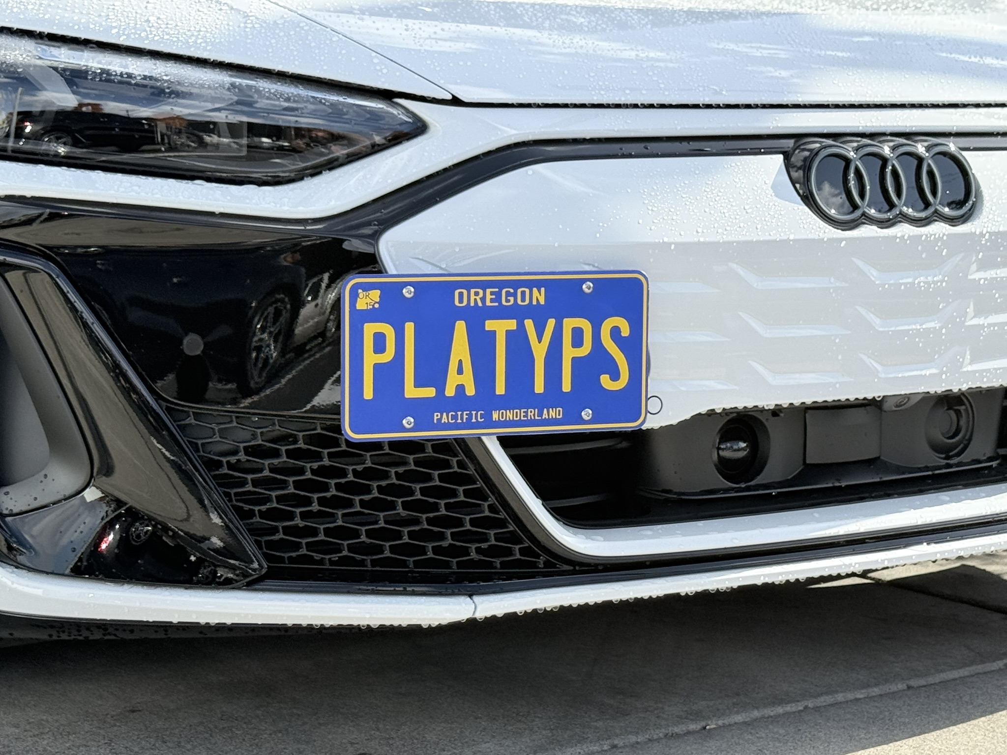 The Platypus License Plate Mount for Audi S e-tron GT 1st gen 2025 to 2026