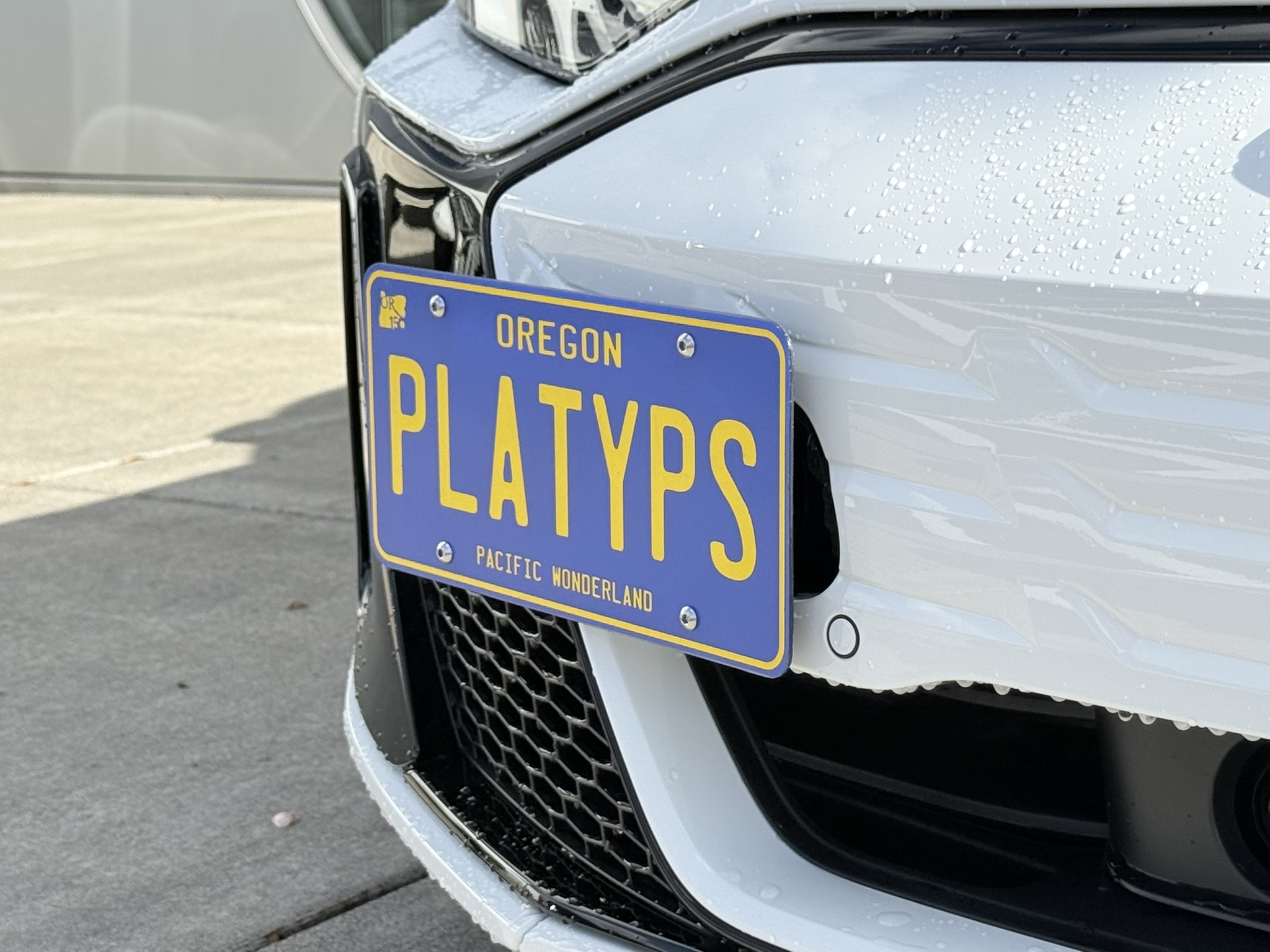 The Platypus License Plate Mount for Audi S e-tron GT 1st gen 2025 to 2026