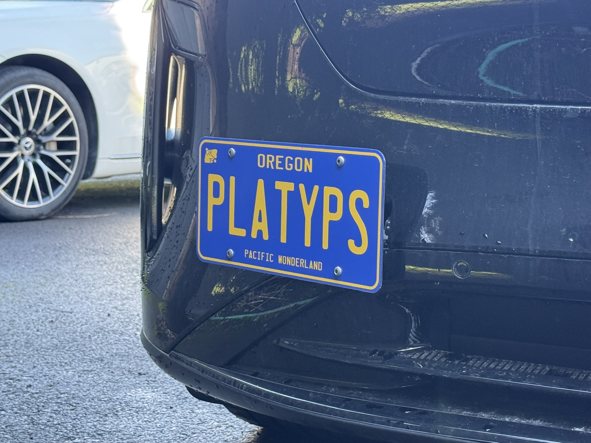 The Platypus License Plate Mount for Lucid Gravity 2025 to 2026
