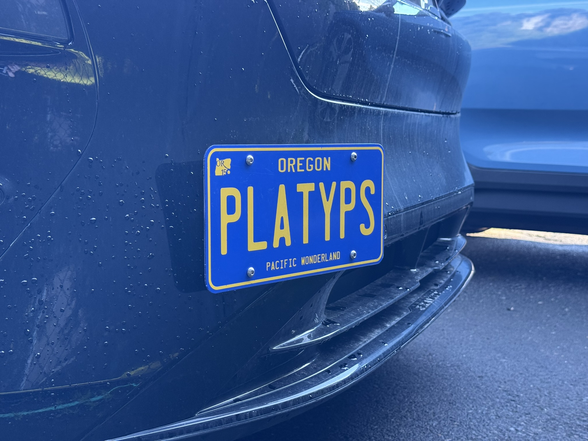 The Platypus License Plate Mount for Lucid Gravity 2025 to 2026