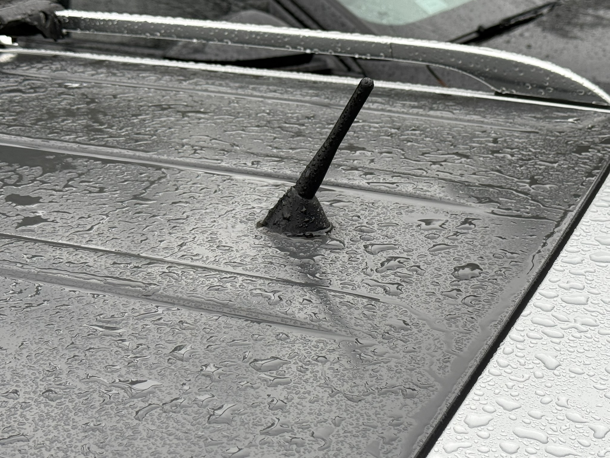 The Stubby Antenna for Audi allroad quattro C5 - 4B 2001 to 2005 Original