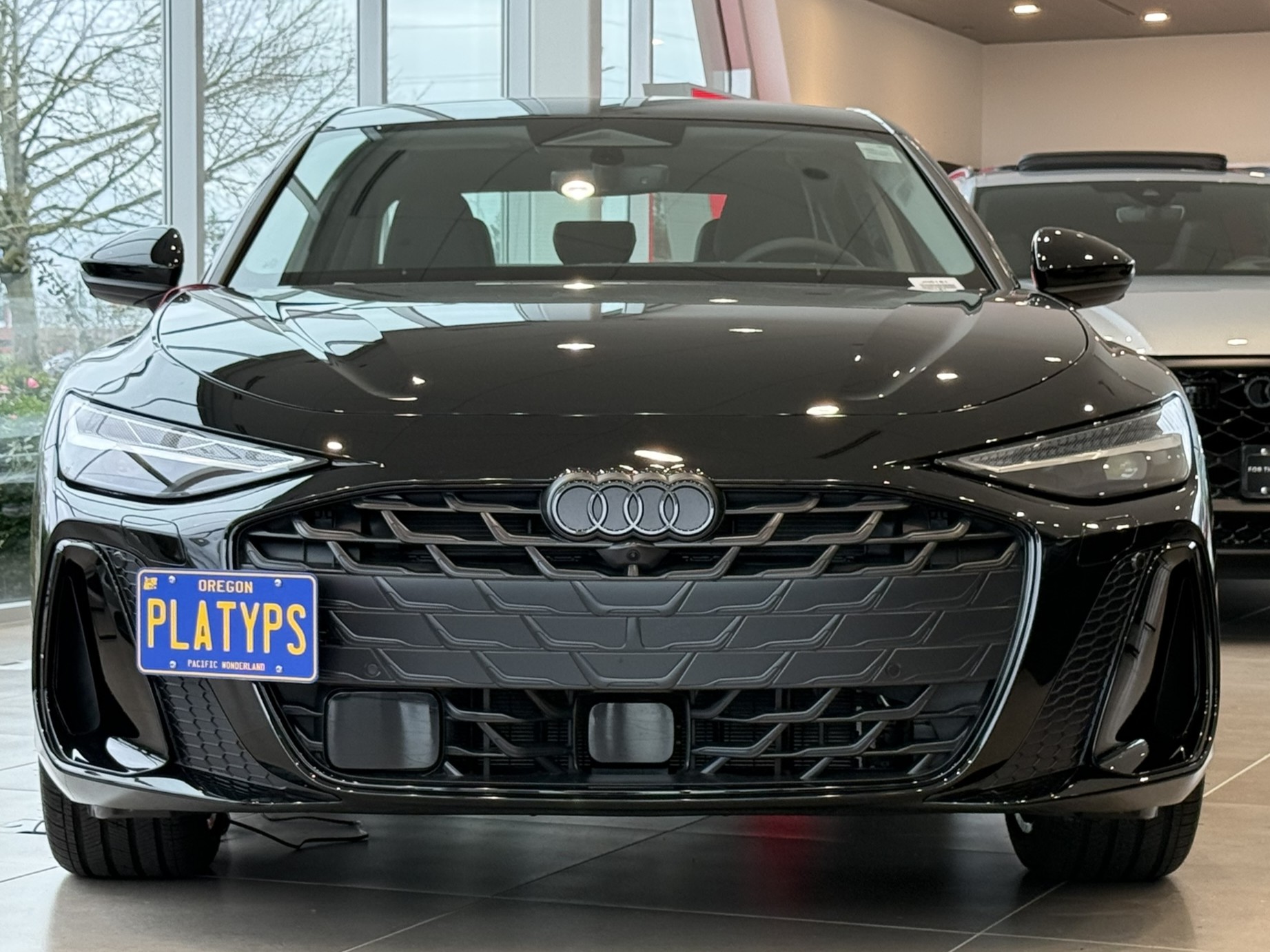 The Platypus License Plate Mount for Audi A6 C9 - 4L 2026 to 2027