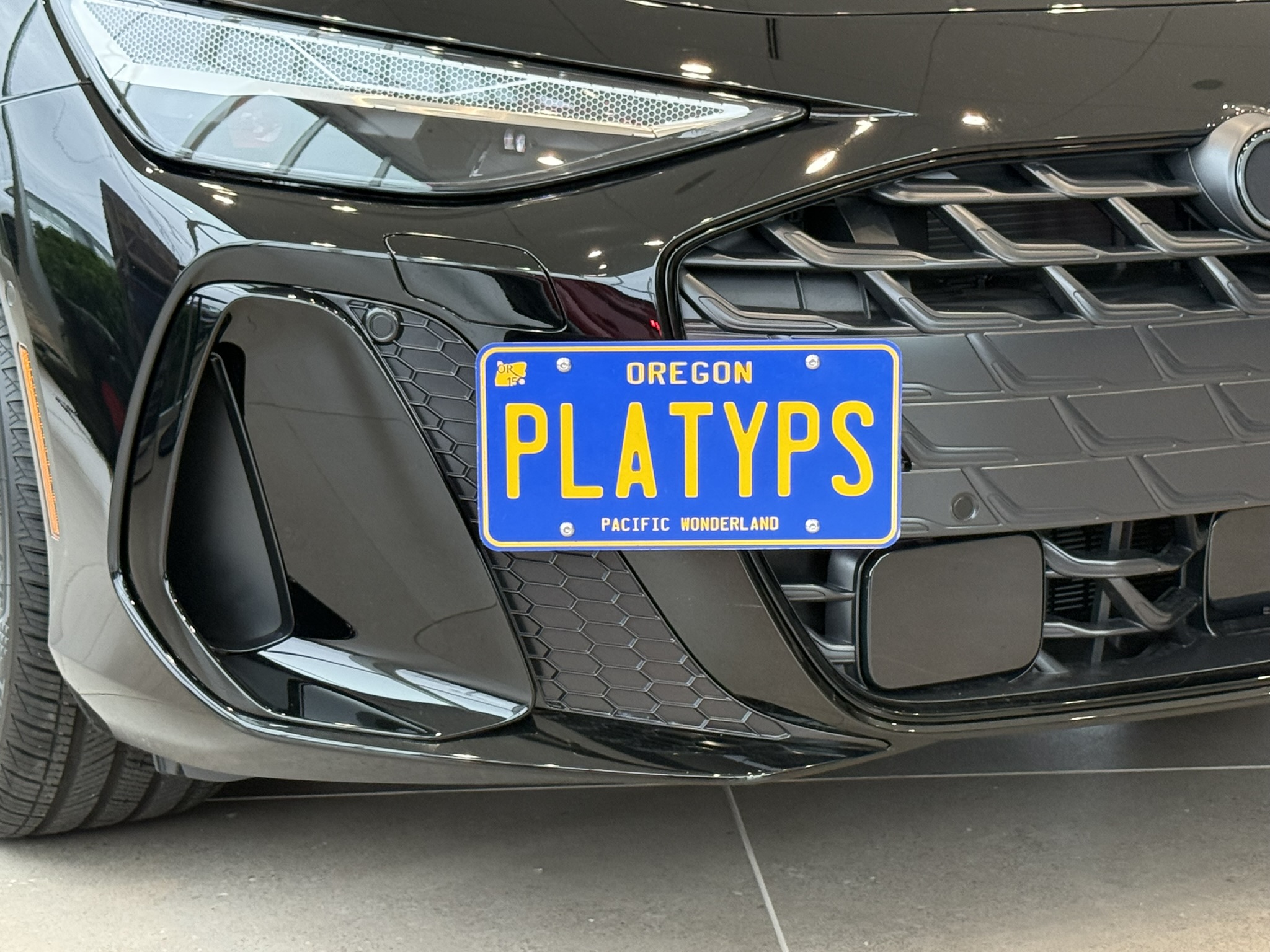 The Platypus License Plate Mount for Audi A6 C9 - 4L 2026 to 2027