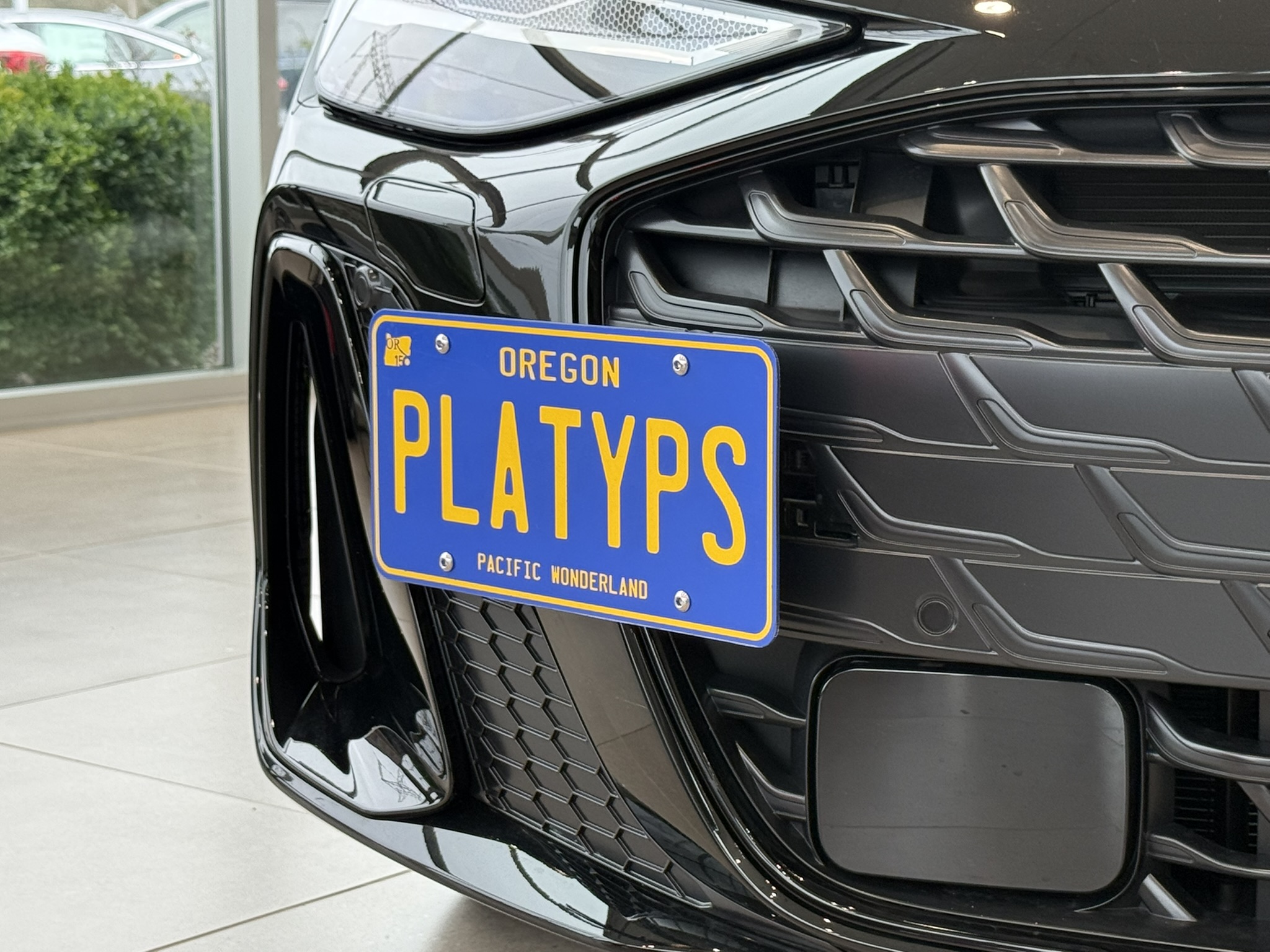 The Platypus License Plate Mount for Audi A6 C9 - 4L 2026 to 2027