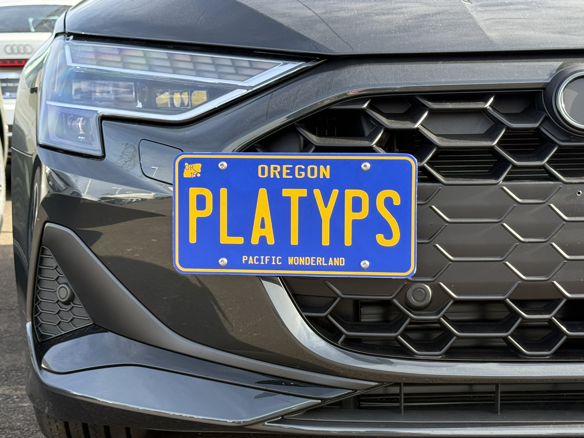The Platypus License Plate Mount for Audi A3 8Y 2022 to 2026 2025+ (Facelift)