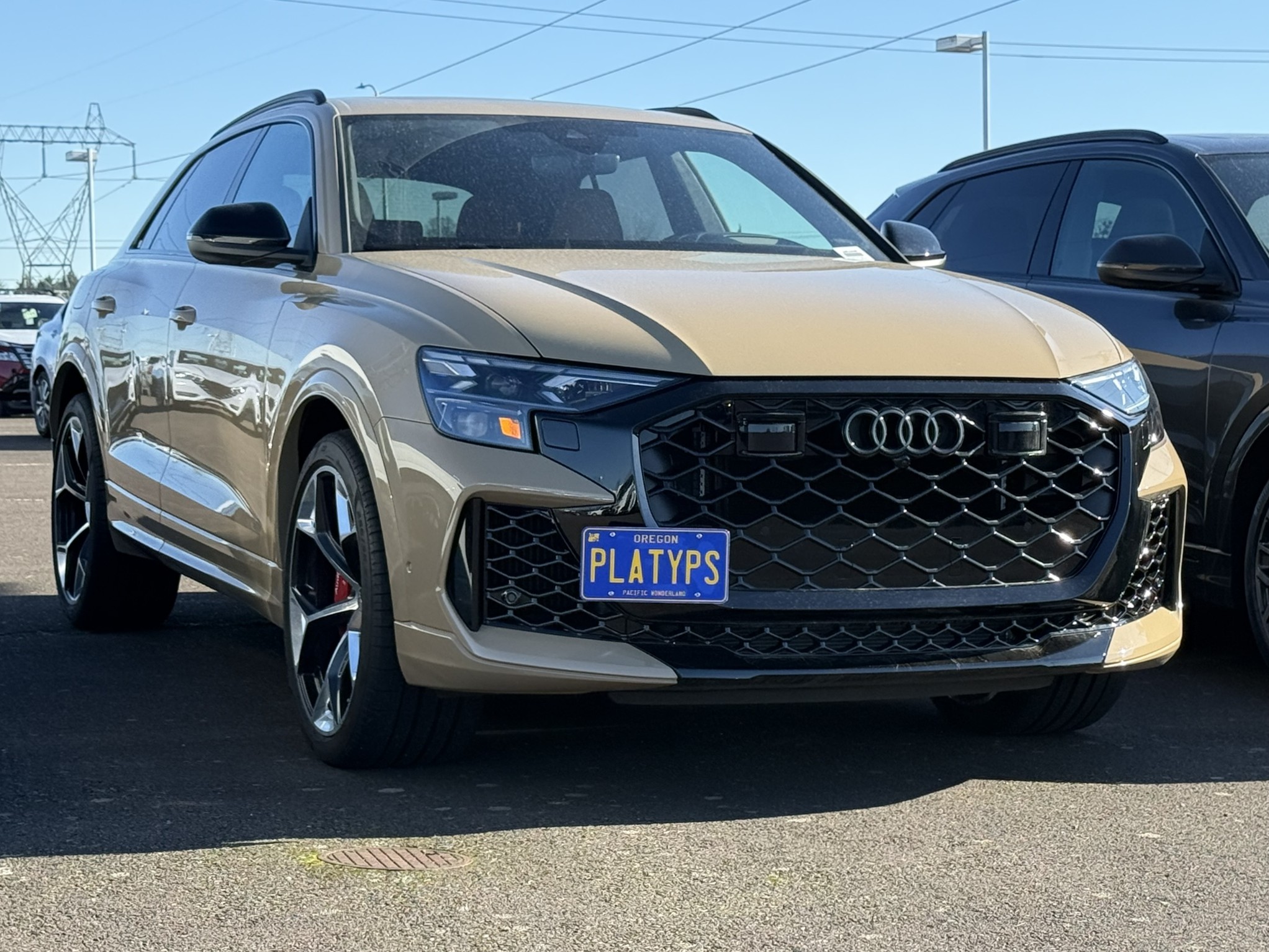 https://cdn11.bigcommerce.com/s-351ed/images/stencil/{:size}/products/31991/291940/CS-AB333-K8J_31991_the_platypus_license_plate_mount_for_audi_rs_q8_2020_to_2026_2025_facelift__97157.1769208401.jpg?c=2