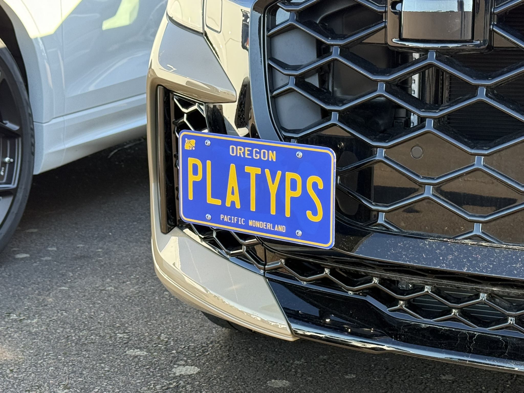 The Platypus License Plate Mount for Audi RS Q8 2020 to 2026 2025+ (Facelift)