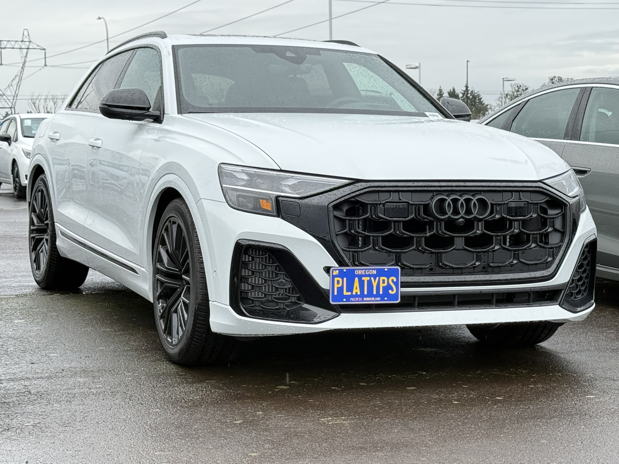https://cdn11.bigcommerce.com/s-351ed/images/stencil/{:size}/products/31996/292049/CS-AJ363-TLB_31996_the_platypus_license_plate_mount_for_audi_sq8_2020_to_2026_2024_facelift__80653.1770134378.jpg?c=2