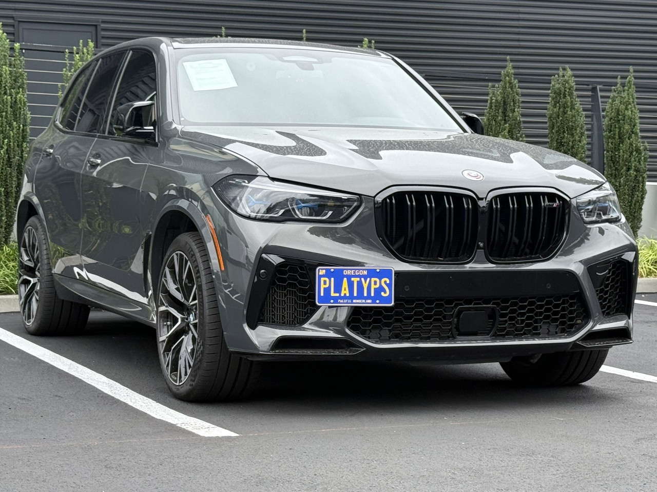 The Platypus License Plate Mount