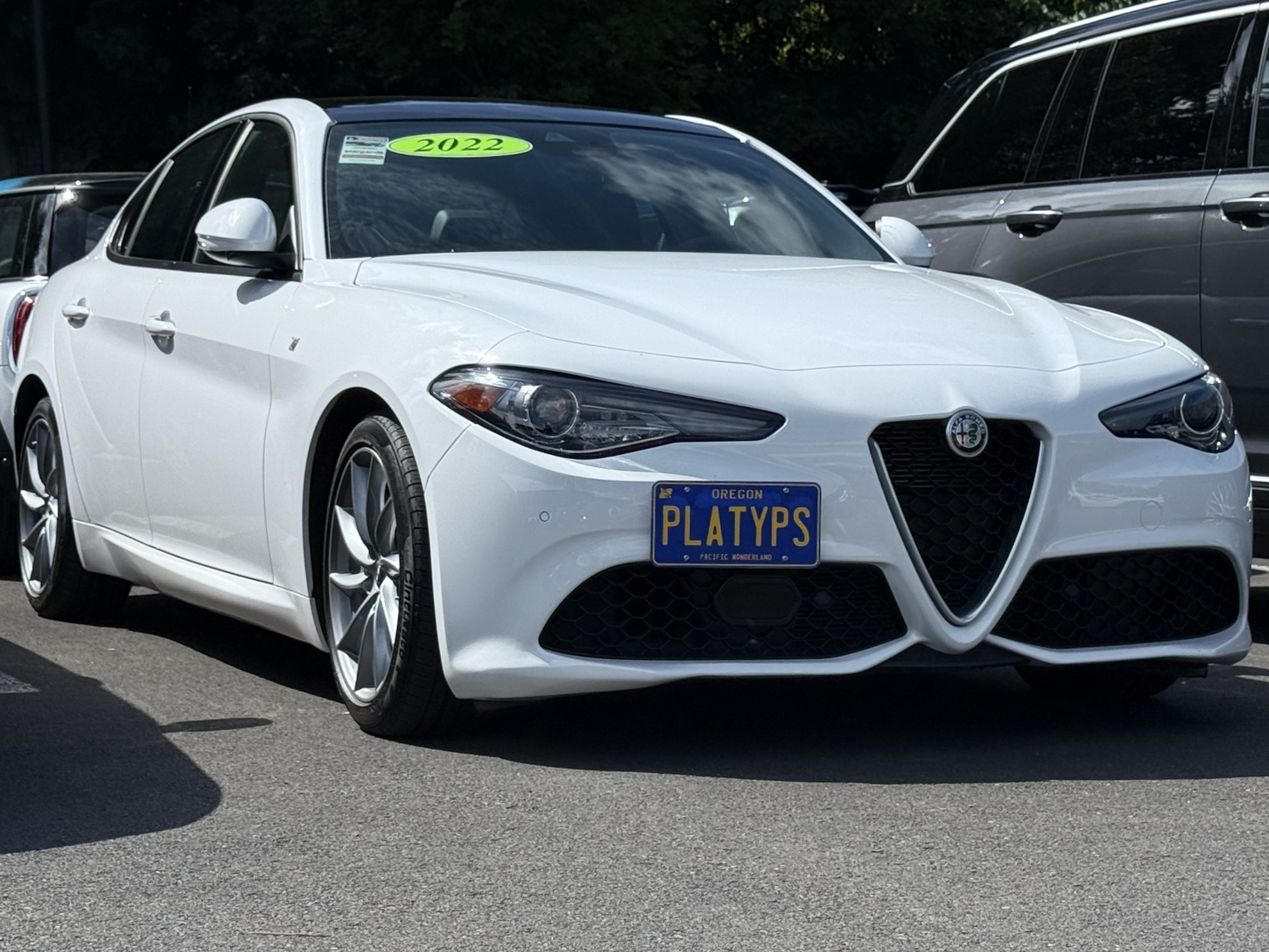 The Platypus License Plate Mount for Alfa Romeo Giulia 2017 to 2025