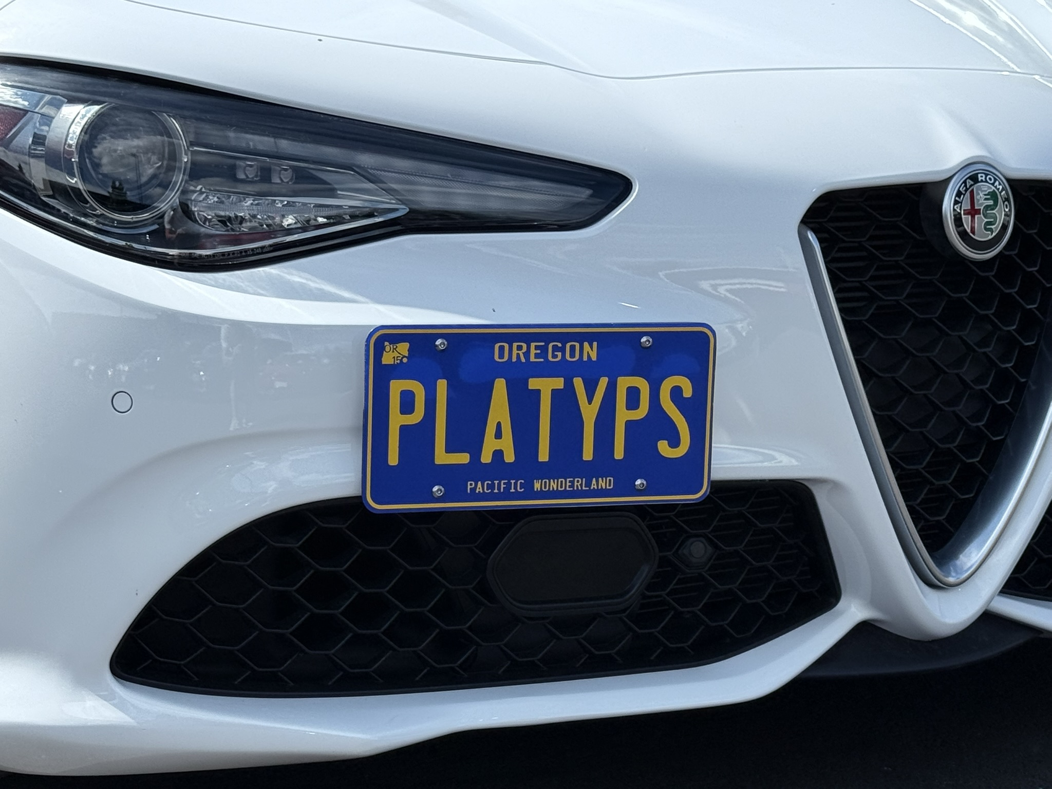 The Platypus License Plate Mount for Alfa Romeo Giulia 2017 to 2025