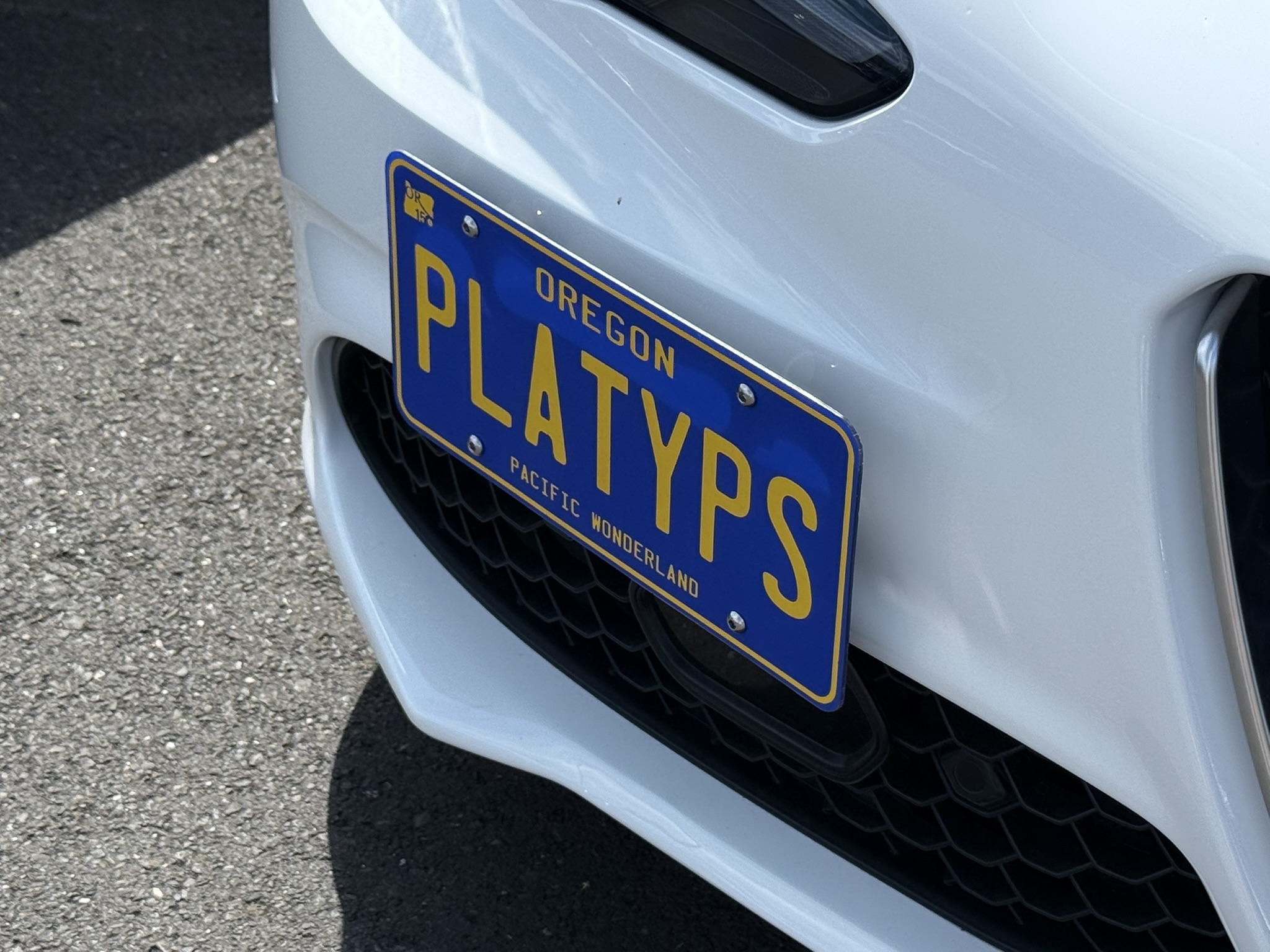 How To Install Front License Plate On Alfa Romeo Giulia: Easy Step-by-Step Guide