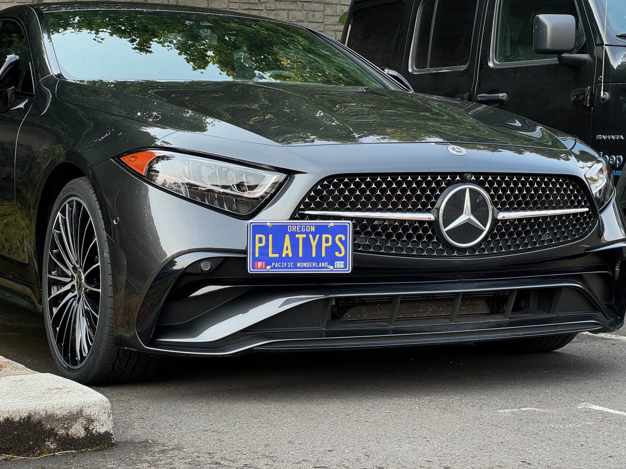 The Platypus License Plate Mount for Mercedes-Benz CLS-Class C257 2019 to 2023 Base