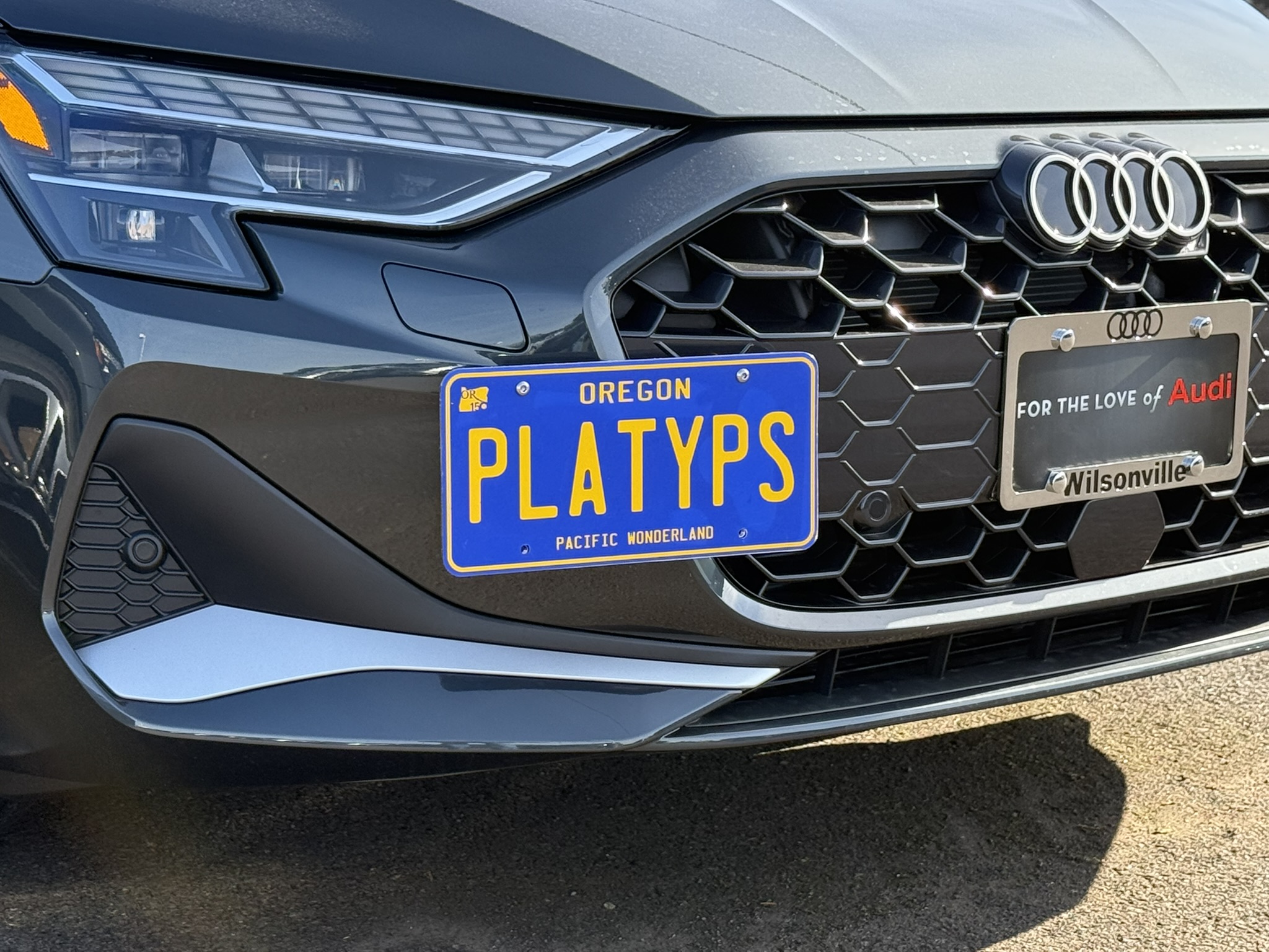 The Platypus License Plate Mount for Audi A3 ? 2022 to 2024