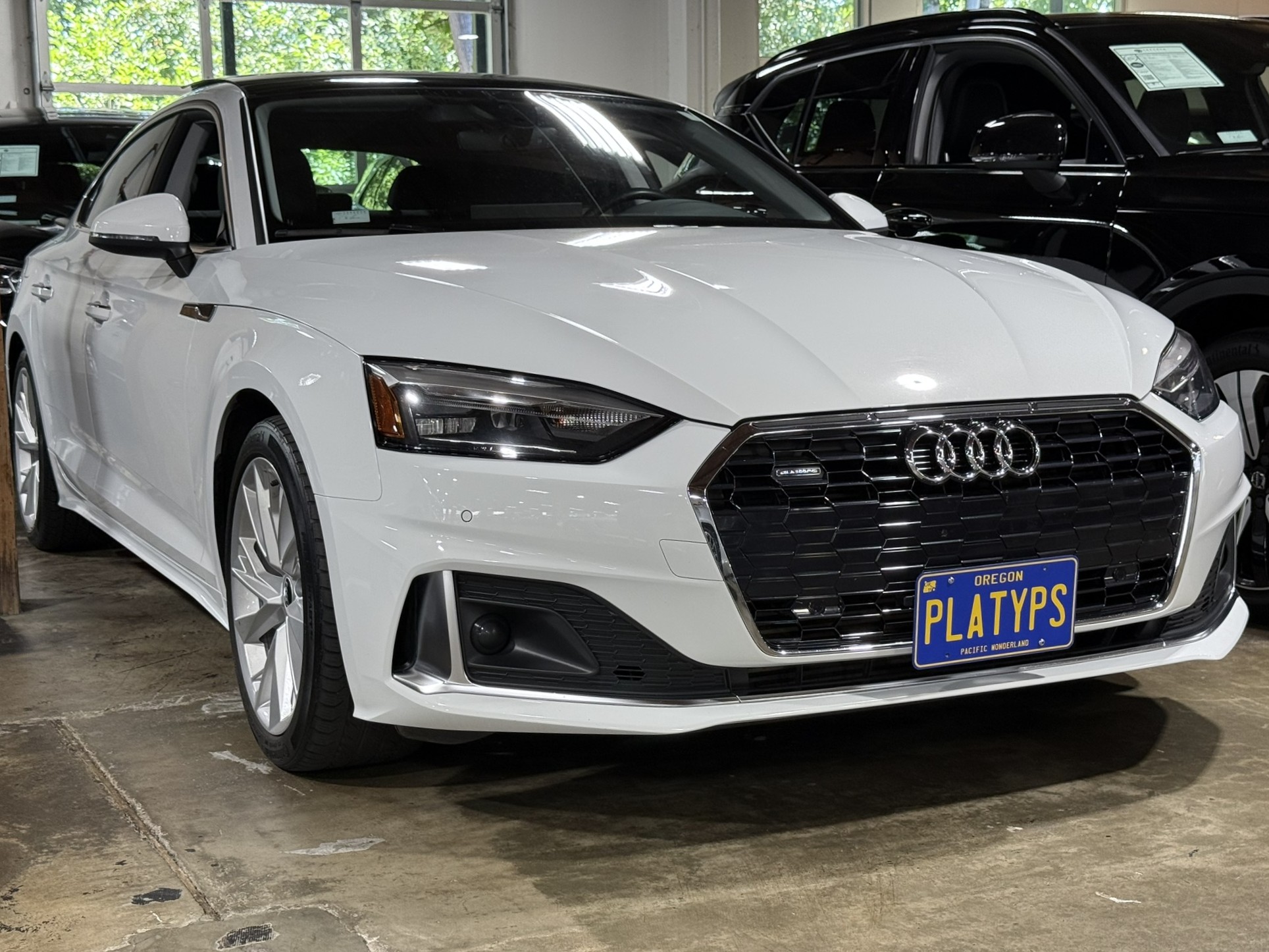 The Platypus License Plate Mount installed on a 2021 Audi A5 Sedan