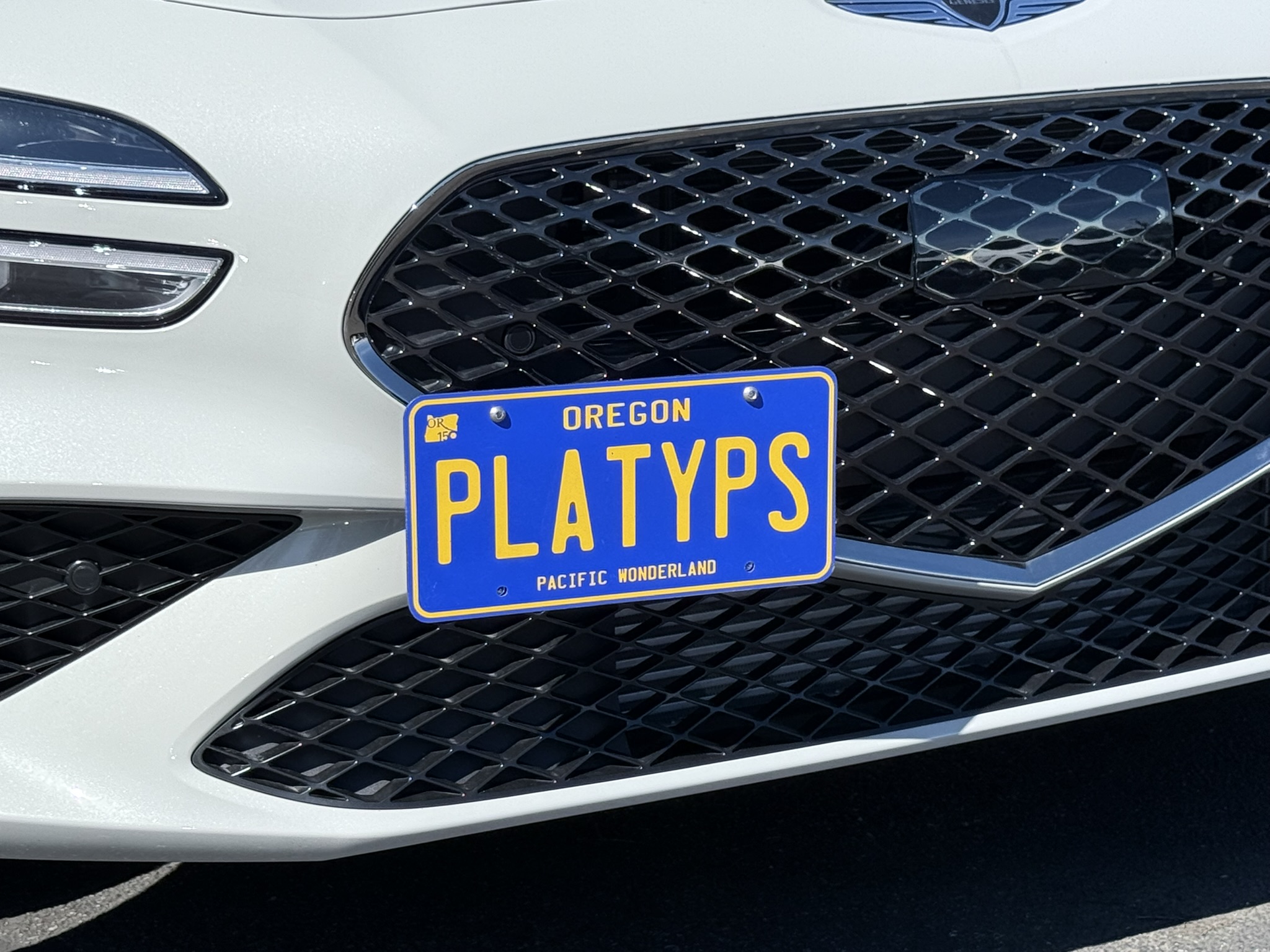 Genesis G70 License Plate Holder | No-Drill Mount | CravenSpeed