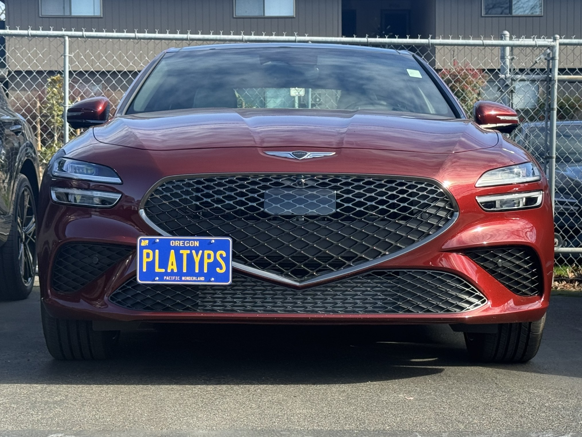 The Platypus License Plate Mount for Genesis G70 2019 to 2026