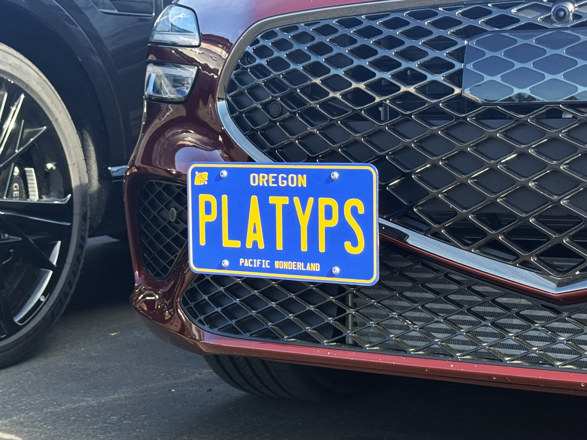 The Platypus License Plate Mount for Genesis G70 2019 to 2026