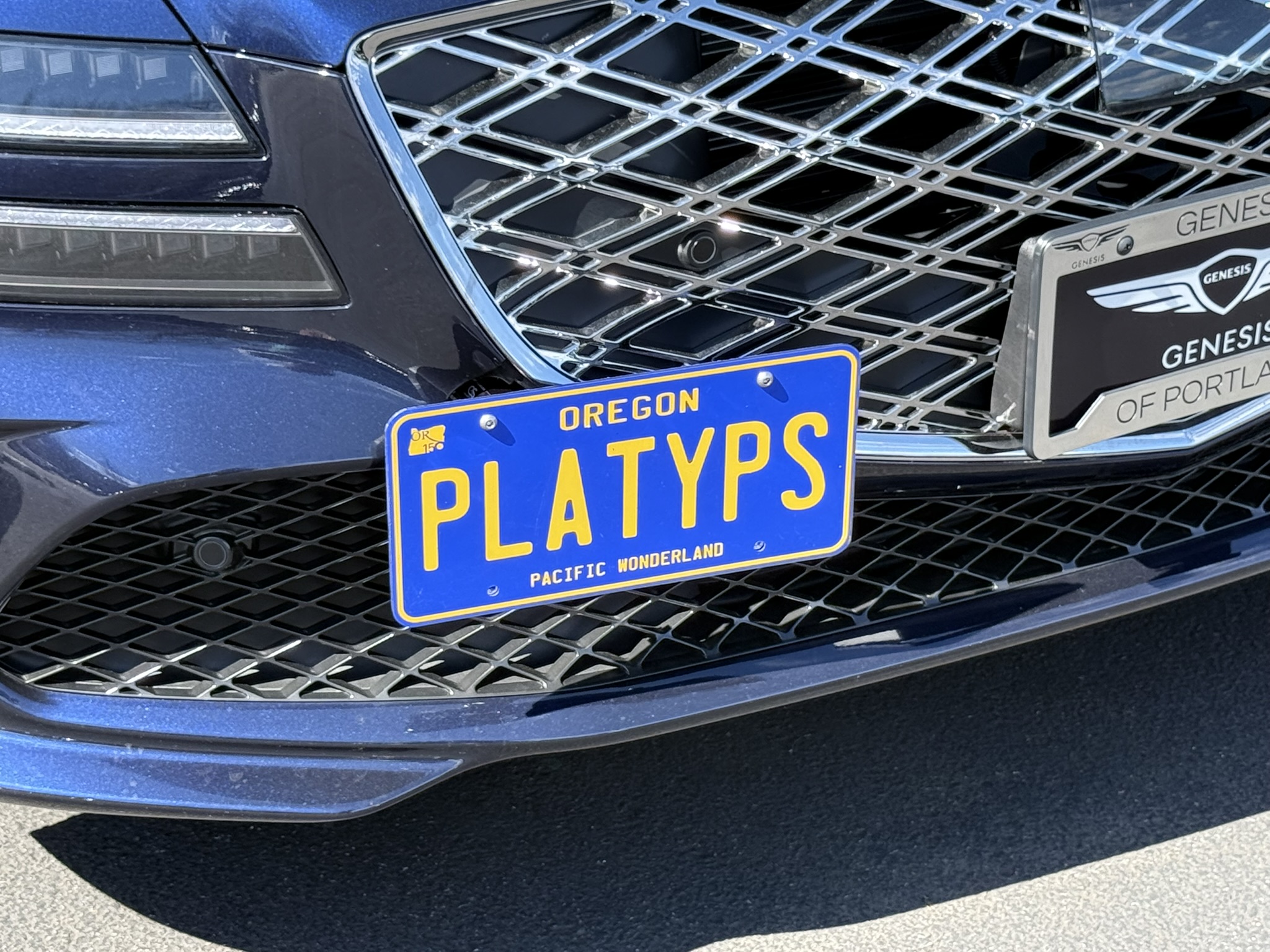 The Platypus License Plate Mount for Genesis G80 3rd gen RG3 2021