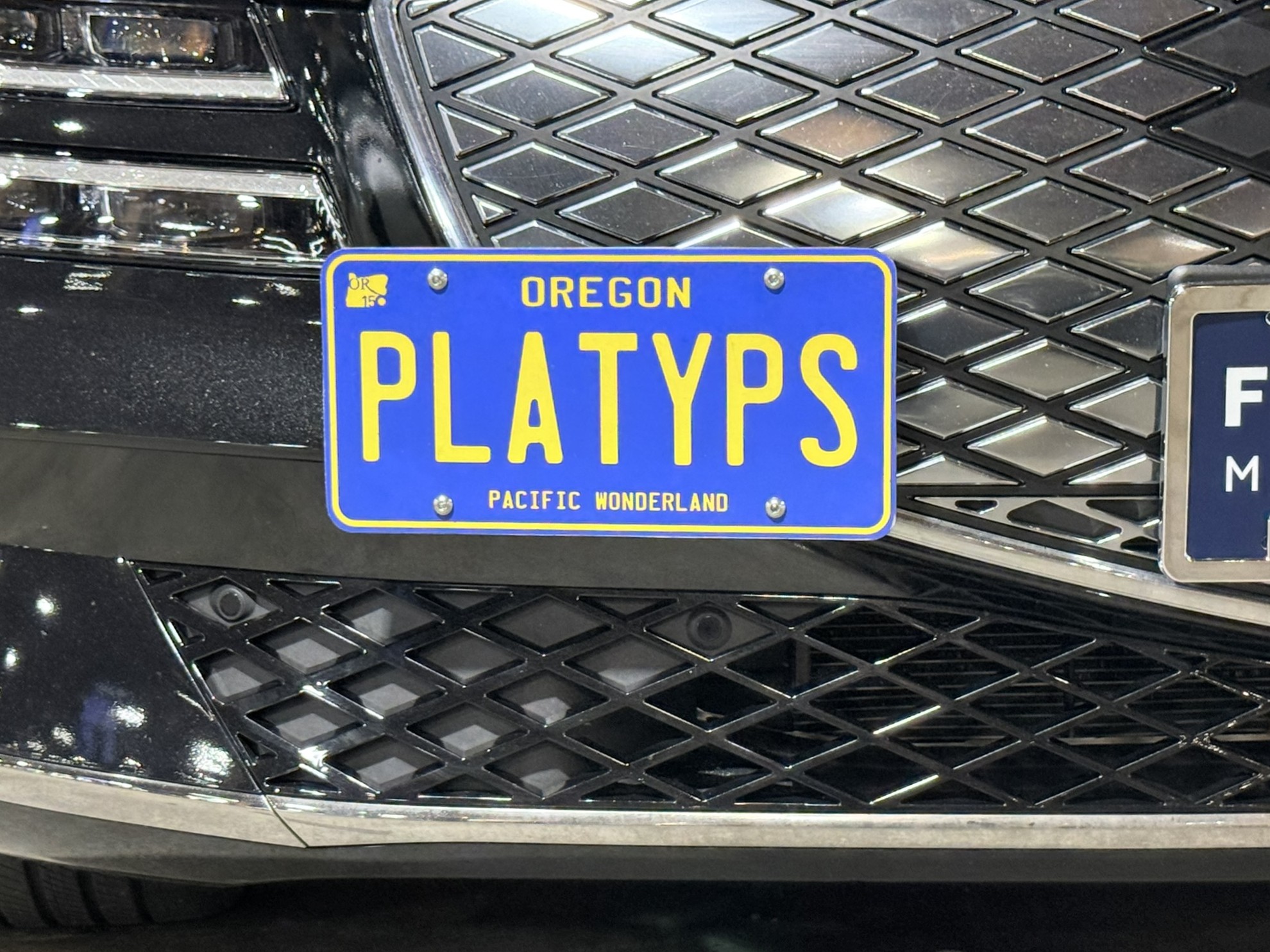 The Platypus License Plate Mount for Genesis G80 3rd gen RG3 2021 to 2026