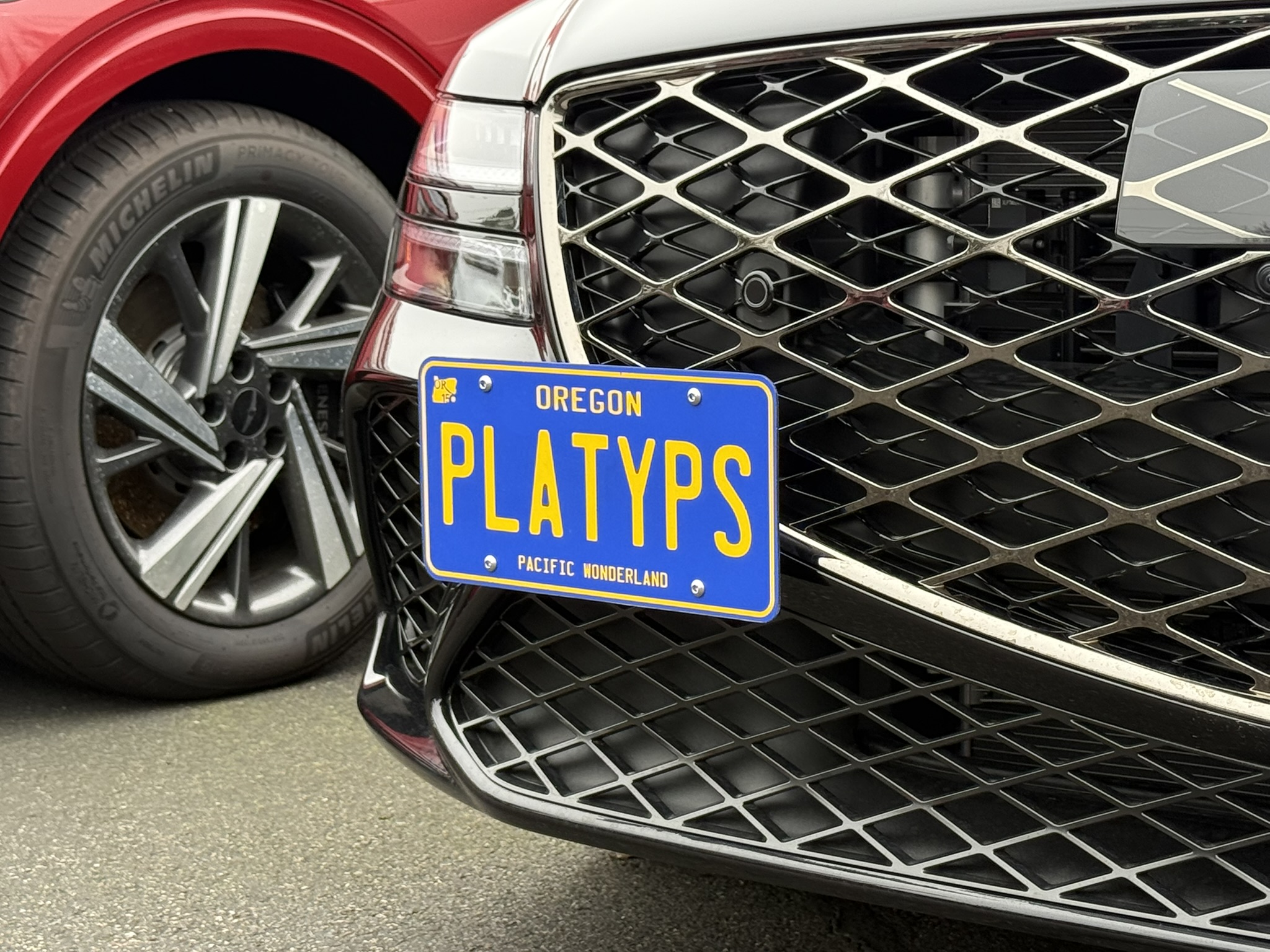 The Platypus License Plate Mount for Genesis G80 3rd gen RG3 2021 to 2026