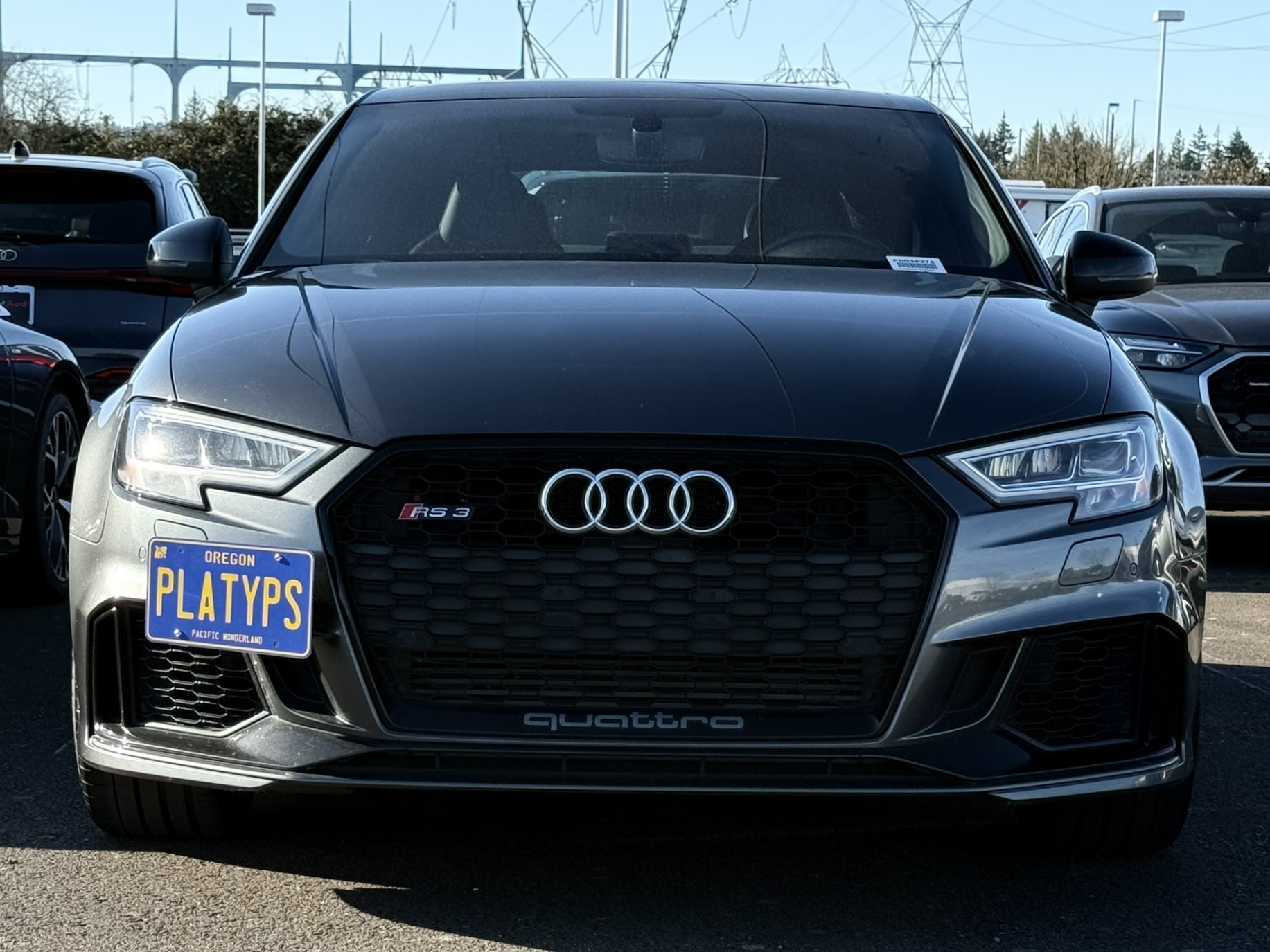 The Platypus License Plate Mount for Audi RS 3 8V 2017 to 2026 2017-2020