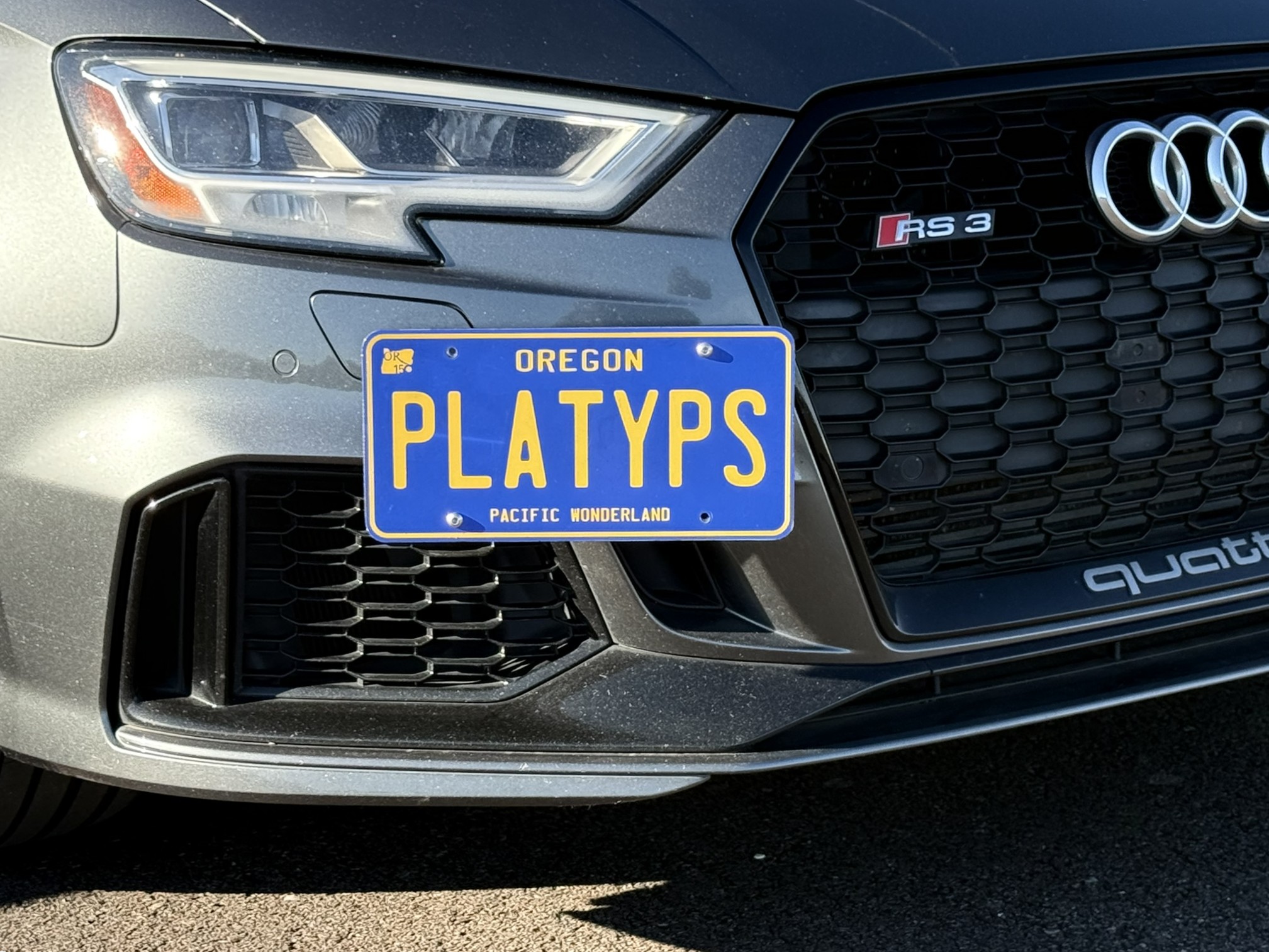 The Platypus License Plate Mount for Audi RS 3 8V 2017 to 2026 2017-2020
