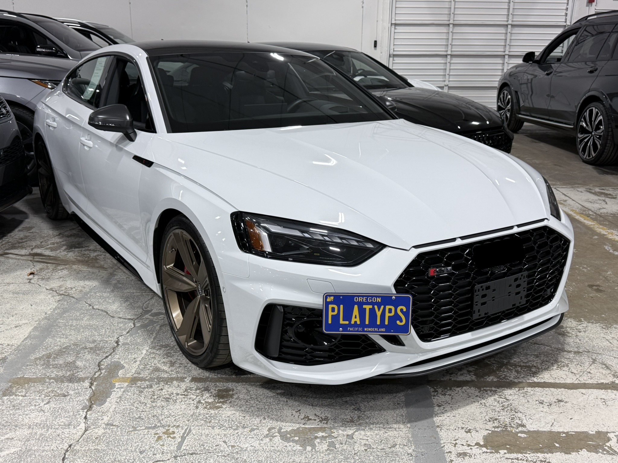 https://cdn11.bigcommerce.com/s-351ed/images/stencil/{:size}/products/6432/289729/CS-AJ330-350_6432_the_platypus_license_plate_mount_for_audi_rs_5_b9_-_8w_2018_to_2025_2021-2025_facelift__28600.1764091654.jpg?c=2