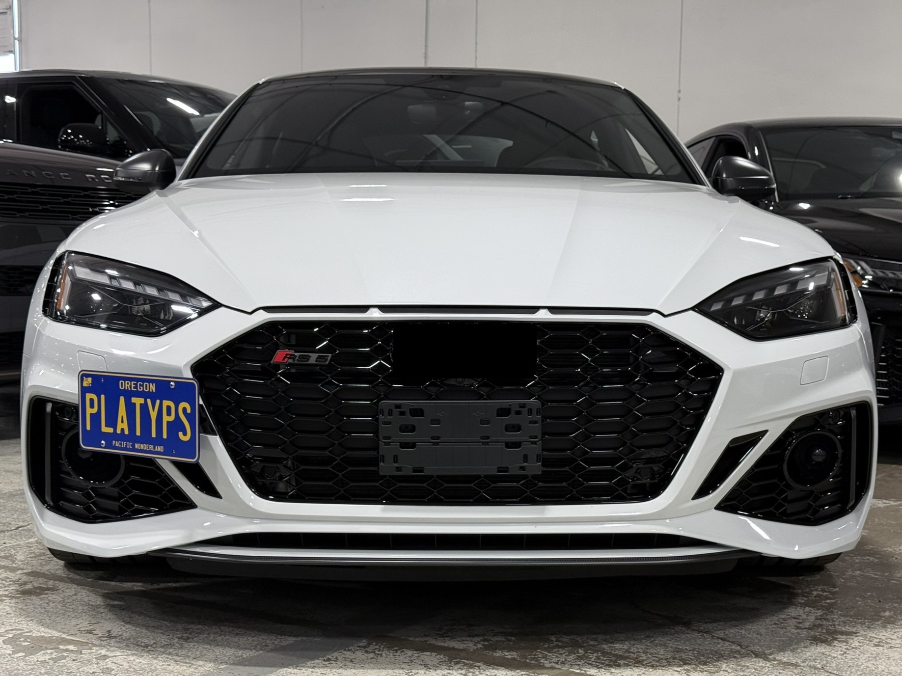 The Platypus License Plate Mount for Audi RS 5 B9 - 8W 2018 to 2025 2021-2025 (Facelift)