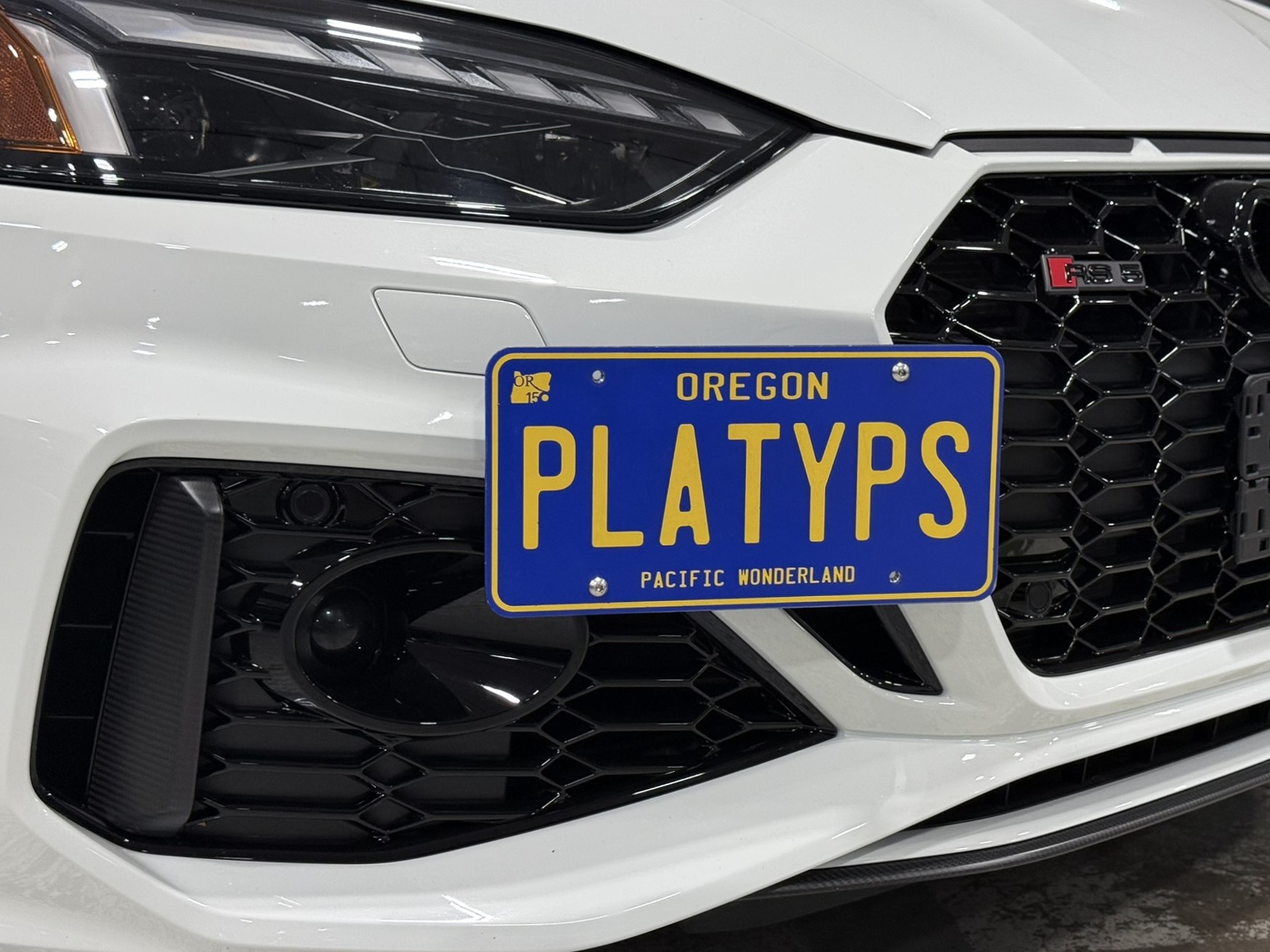 The Platypus License Plate Mount for Audi RS 5 B9 - 8W 2018 to 2025 2021-2025 (Facelift)