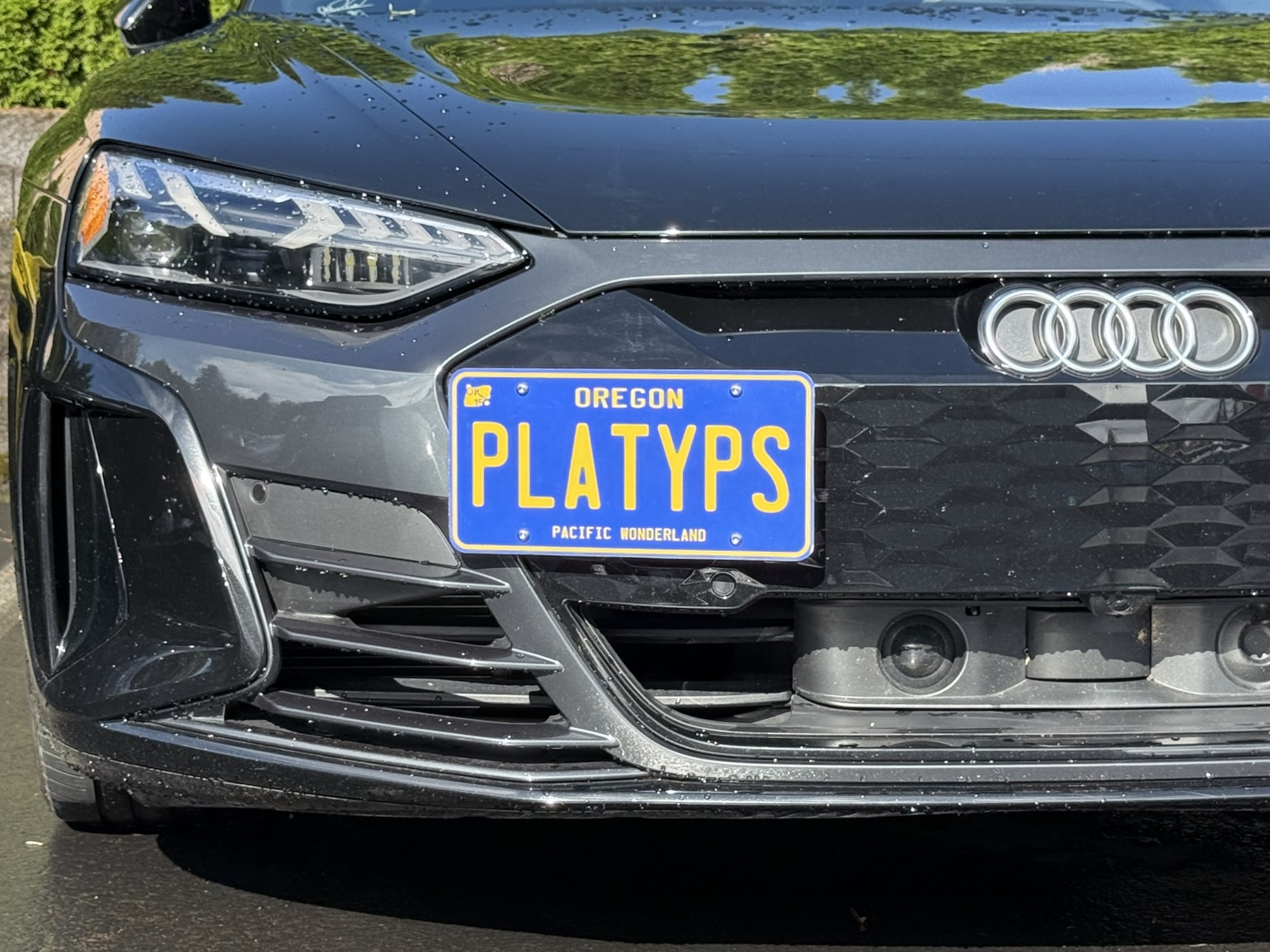 The Platypus License Plate Mount for Audi RS e-tron GT 2022 to 2025