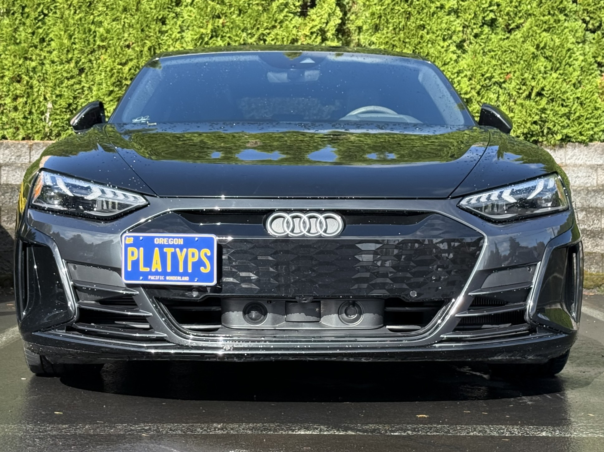 The Platypus License Plate Mount for Audi RS e-tron GT 2022 to 2025