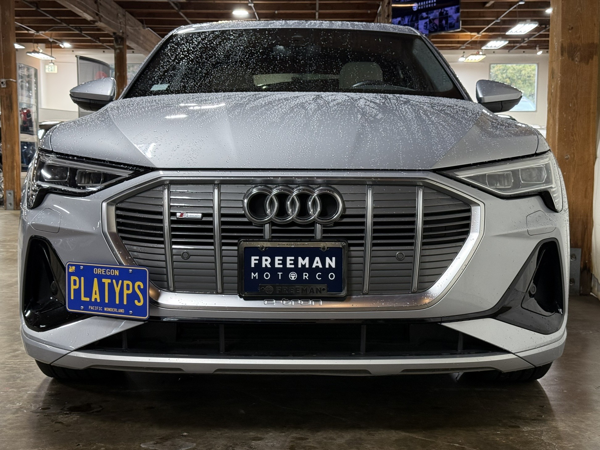 The Platypus License Plate Mount for Audi e-tron 2019 to 2023