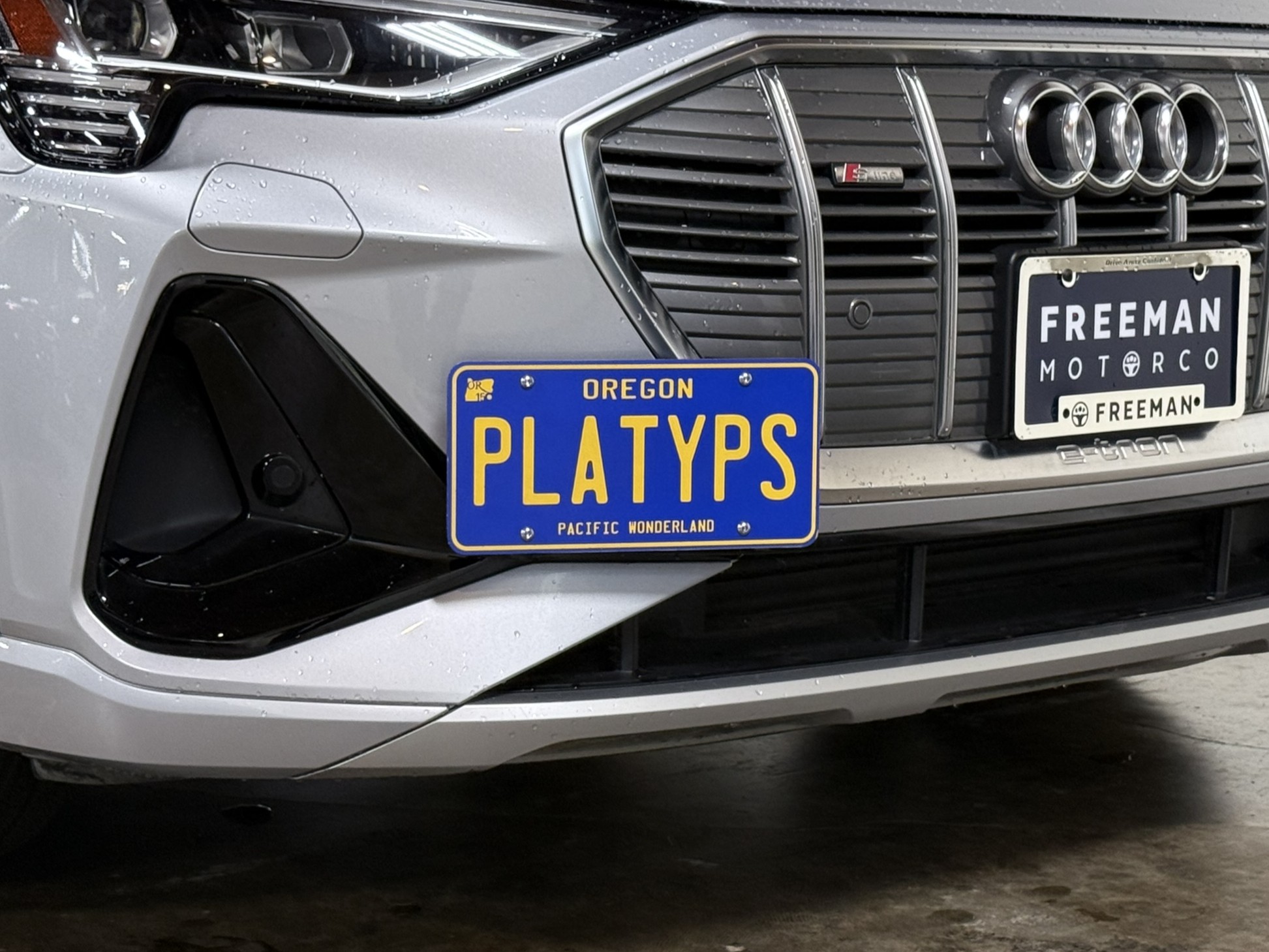 The Platypus License Plate Mount for Audi e-tron 2019 to 2023