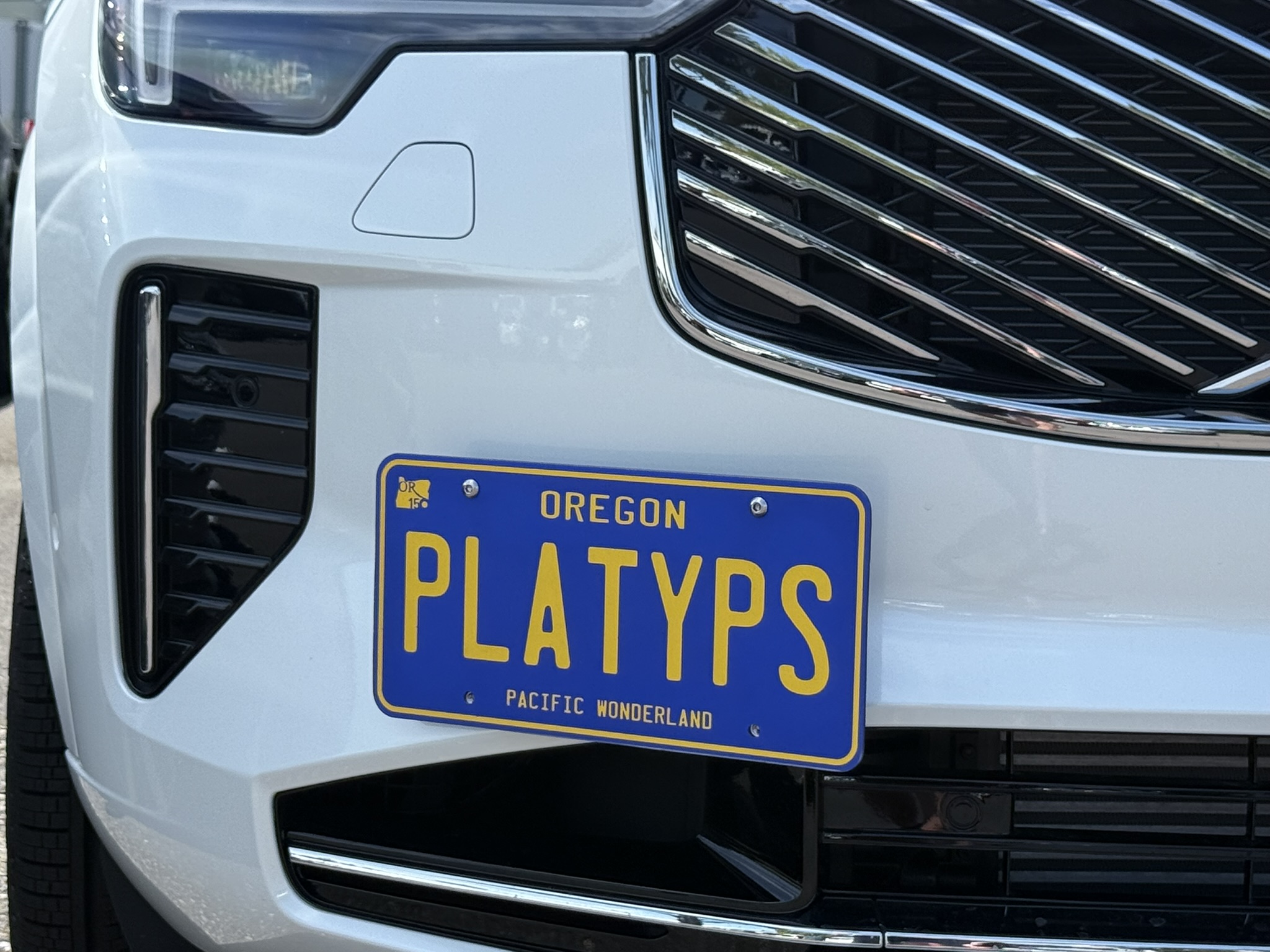 The Platypus License Plate Mount shown on a 2025.5 Volvo XC90 (facelift)