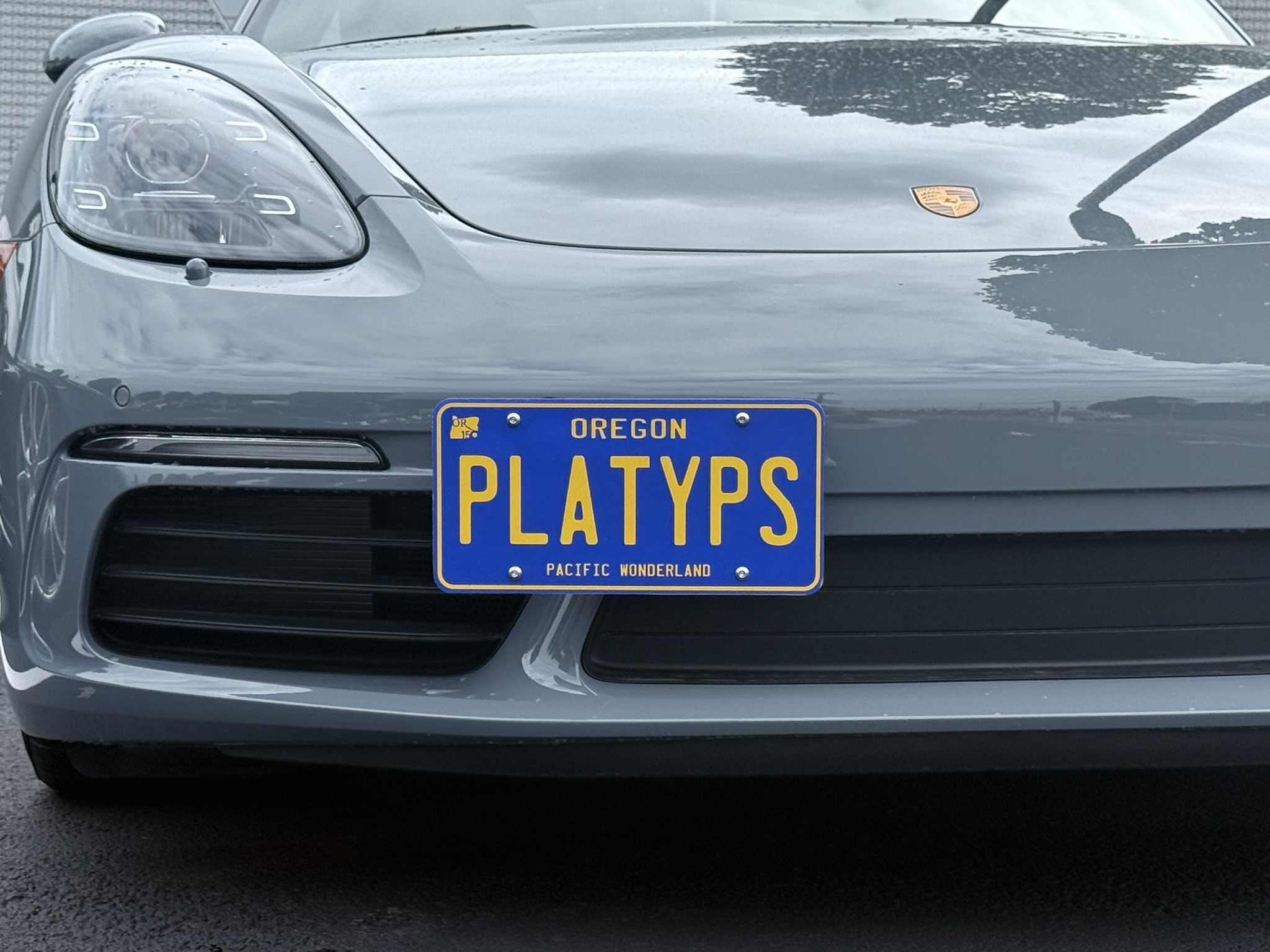 The Platypus License Plate Mount for Porsche 718 Boxster 981 2017 to 2025