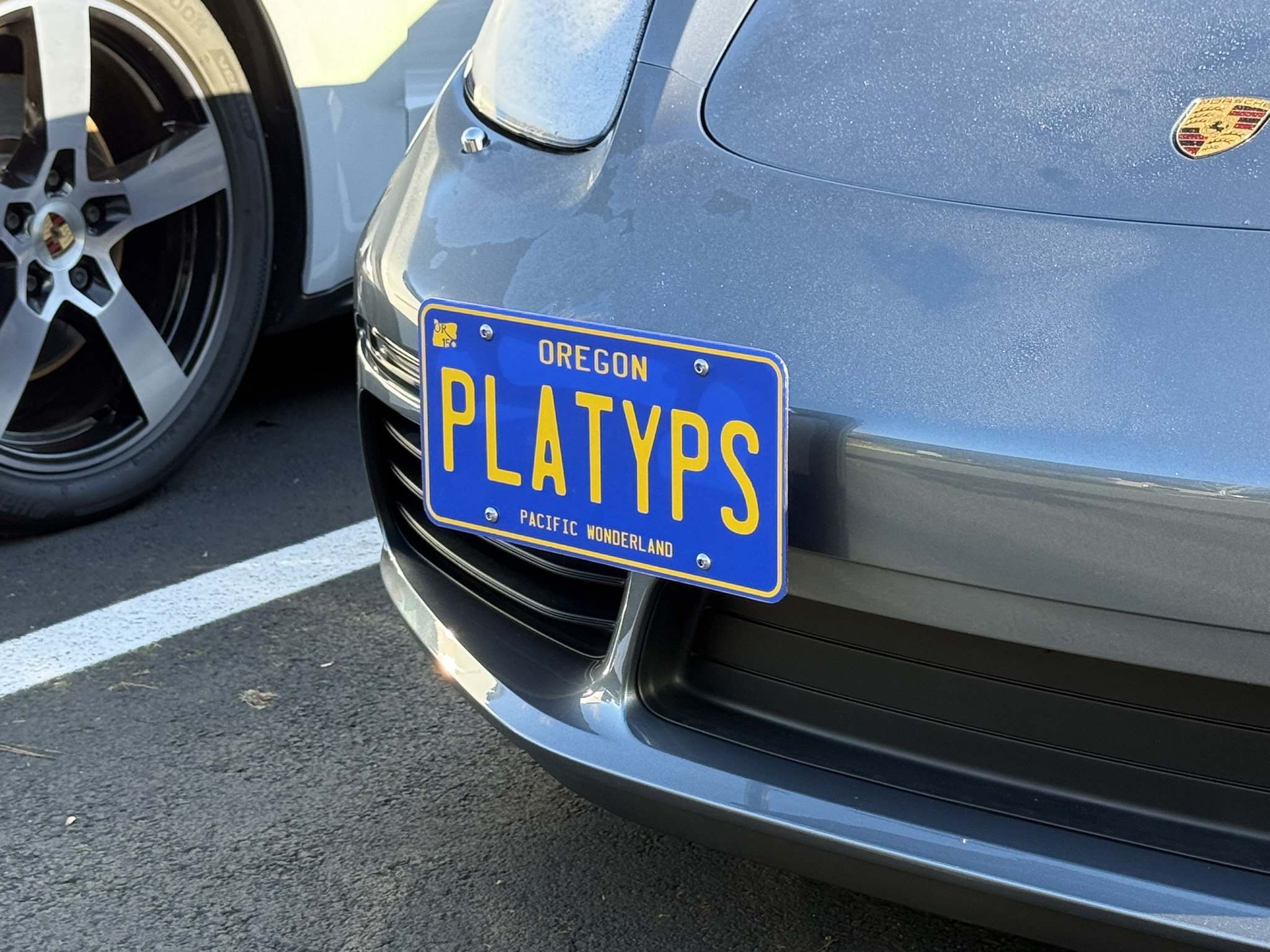 The Platypus License Plate Mount for Porsche 718 Cayman 982 2017 to 2025