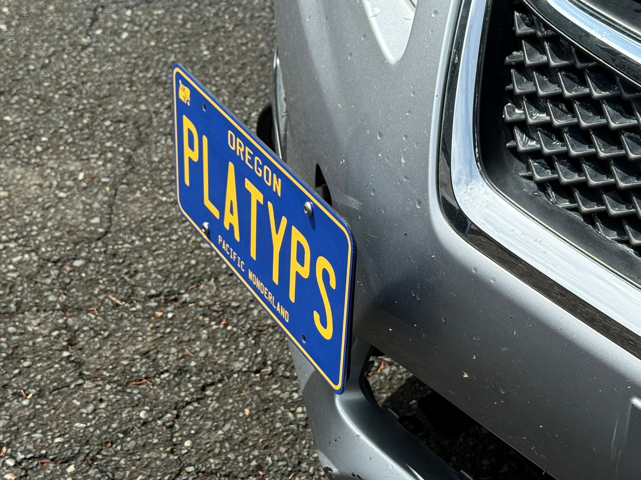 The Platypus License Plate Mount for Subaru Impreza 4th gen - GP/GJ 2012 to 2016