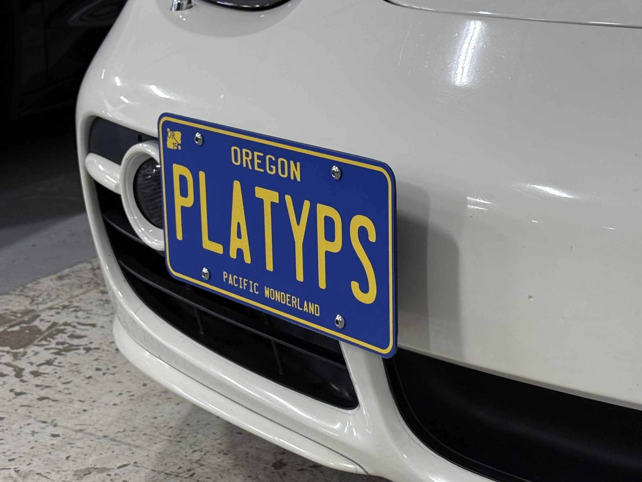 The Platypus License Plate Mount for Porsche Cayman 987 2006 to 2012