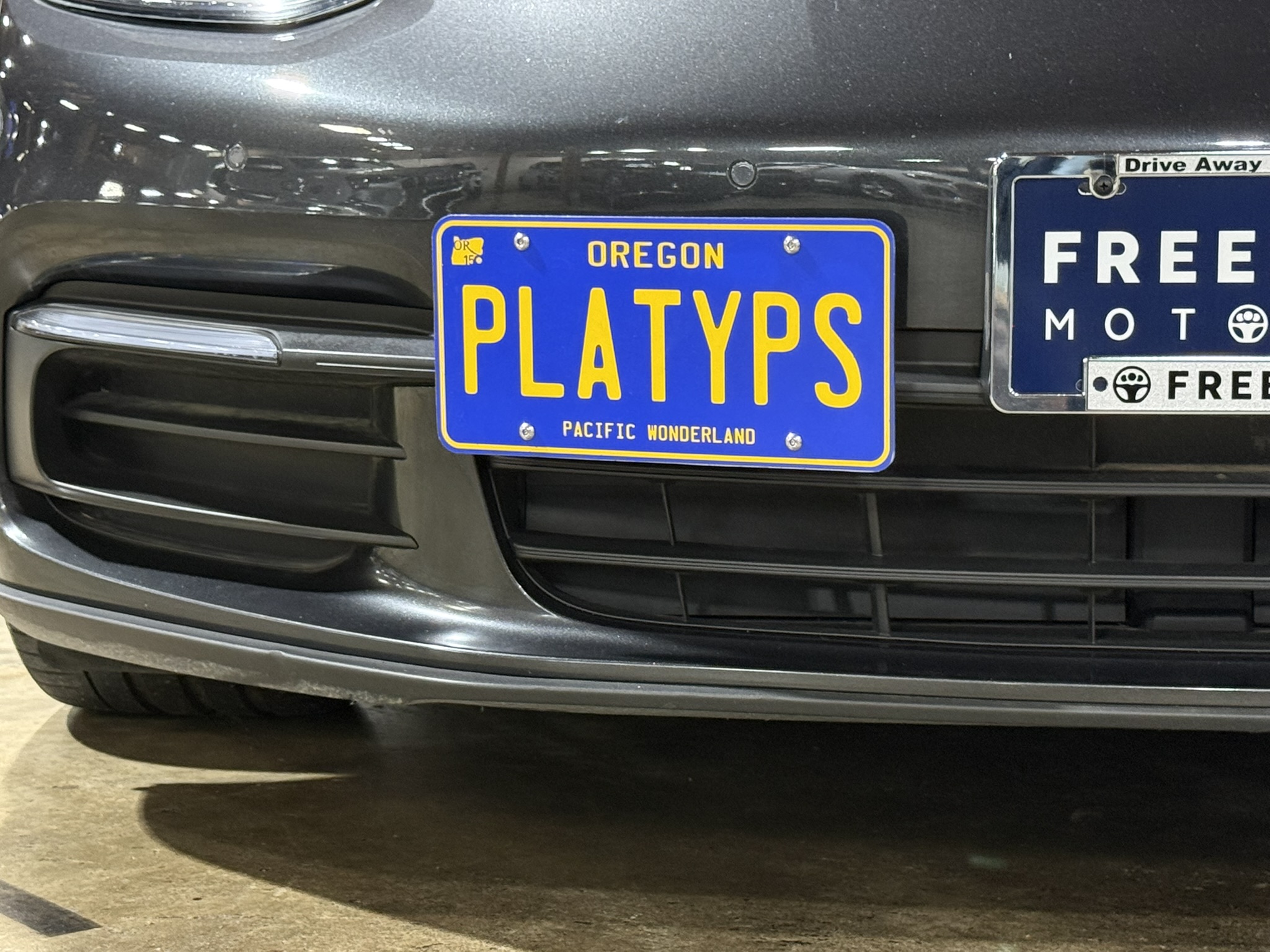 The Platypus License Plate Mount shown on the 971.1 Porsche Panamera.
