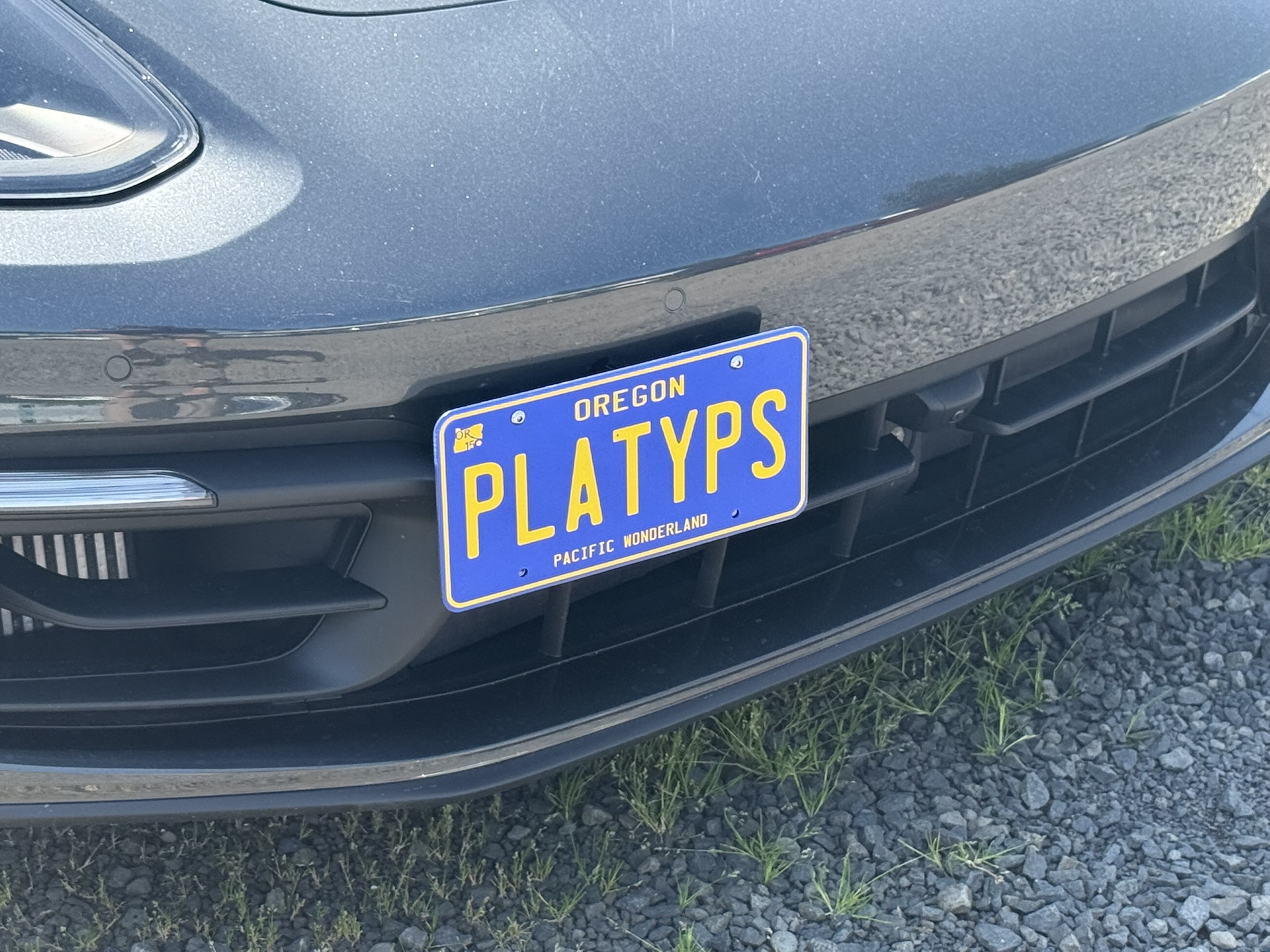 The Platypus License Plate Mount for Porsche Panamera 971 2017 to 2025