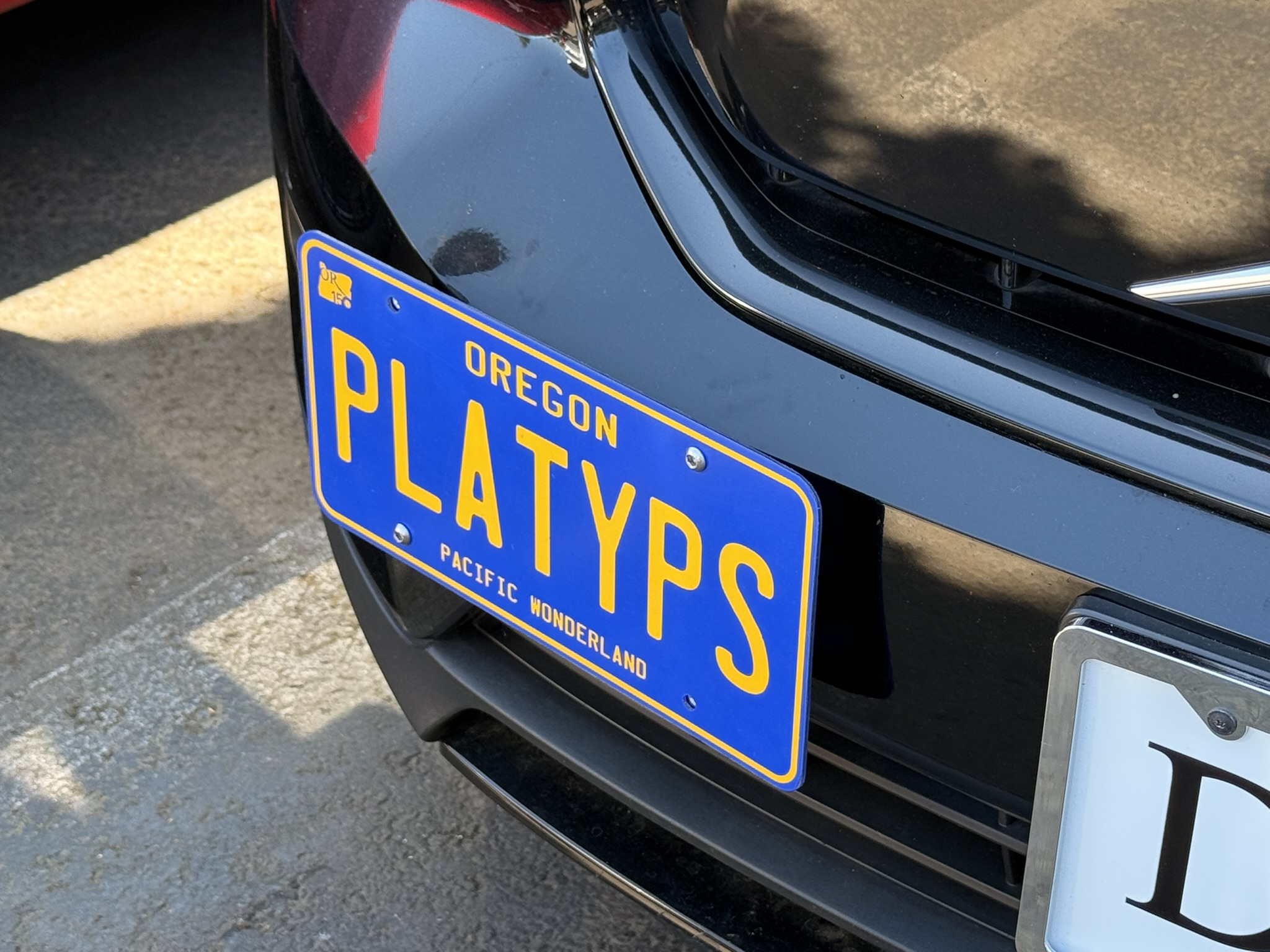 The Platypus License Plate Mount for Volvo XC40 Recharge 2021 to 2024