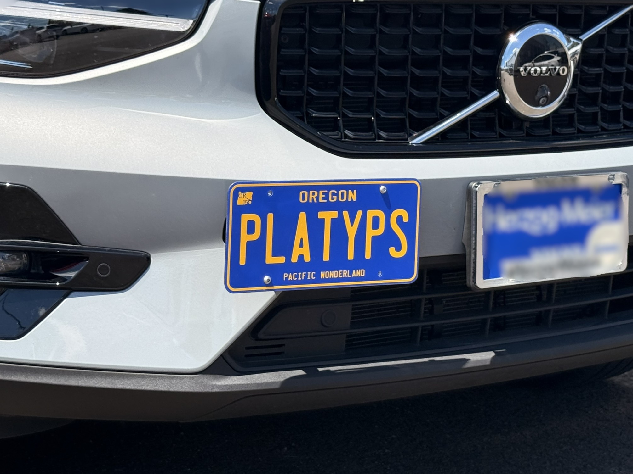 The Platypus License Plate Mount for Volvo XC40 2019 to 2025