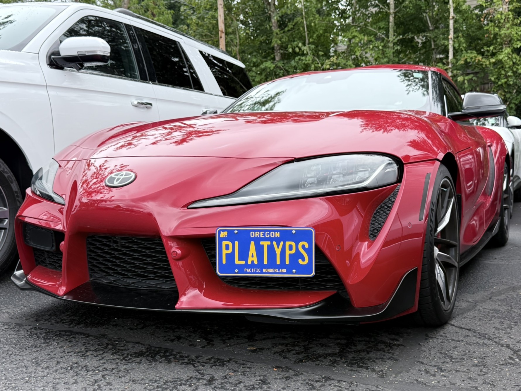 The Platypus License Plate Mount installed on a 2021 5th gen A90 Toyota GR Supra.