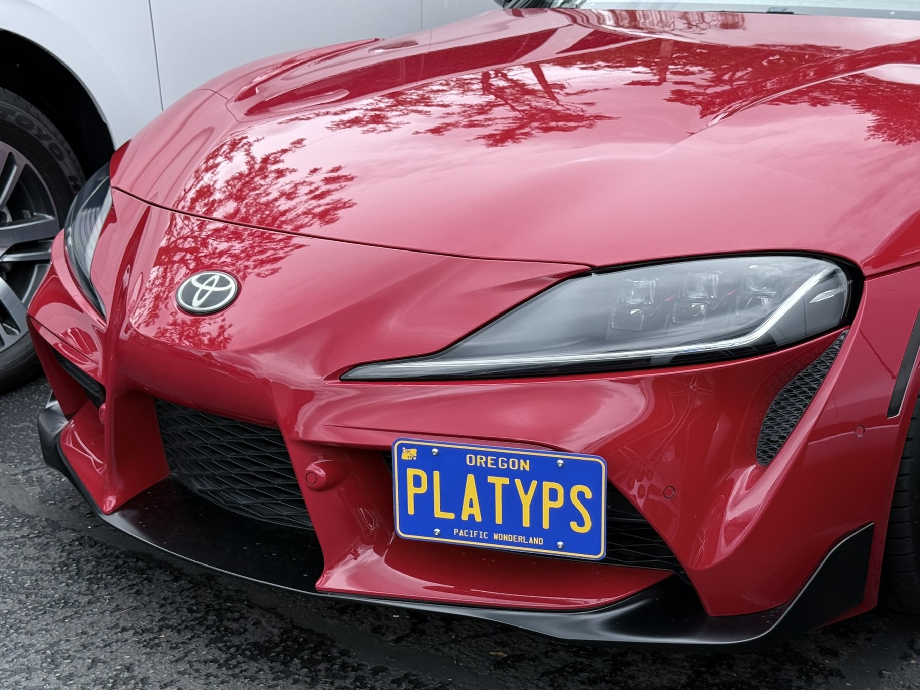 The Platypus License Plate Mount installed on a 2021 5th gen A90 Toyota GR Supra.