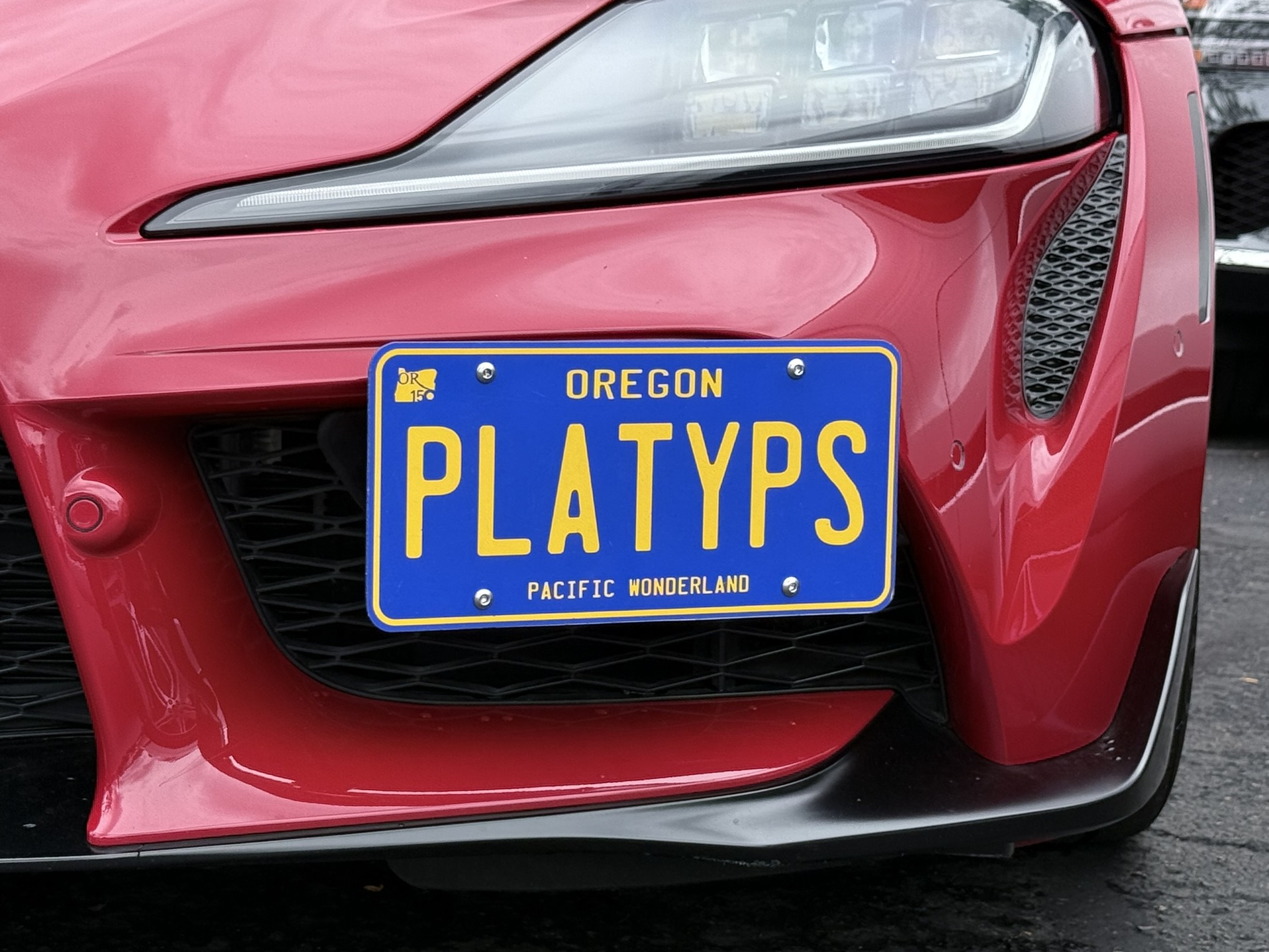 The Platypus License Plate Mount installed on a 2021 5th gen A90 Toyota GR Supra.